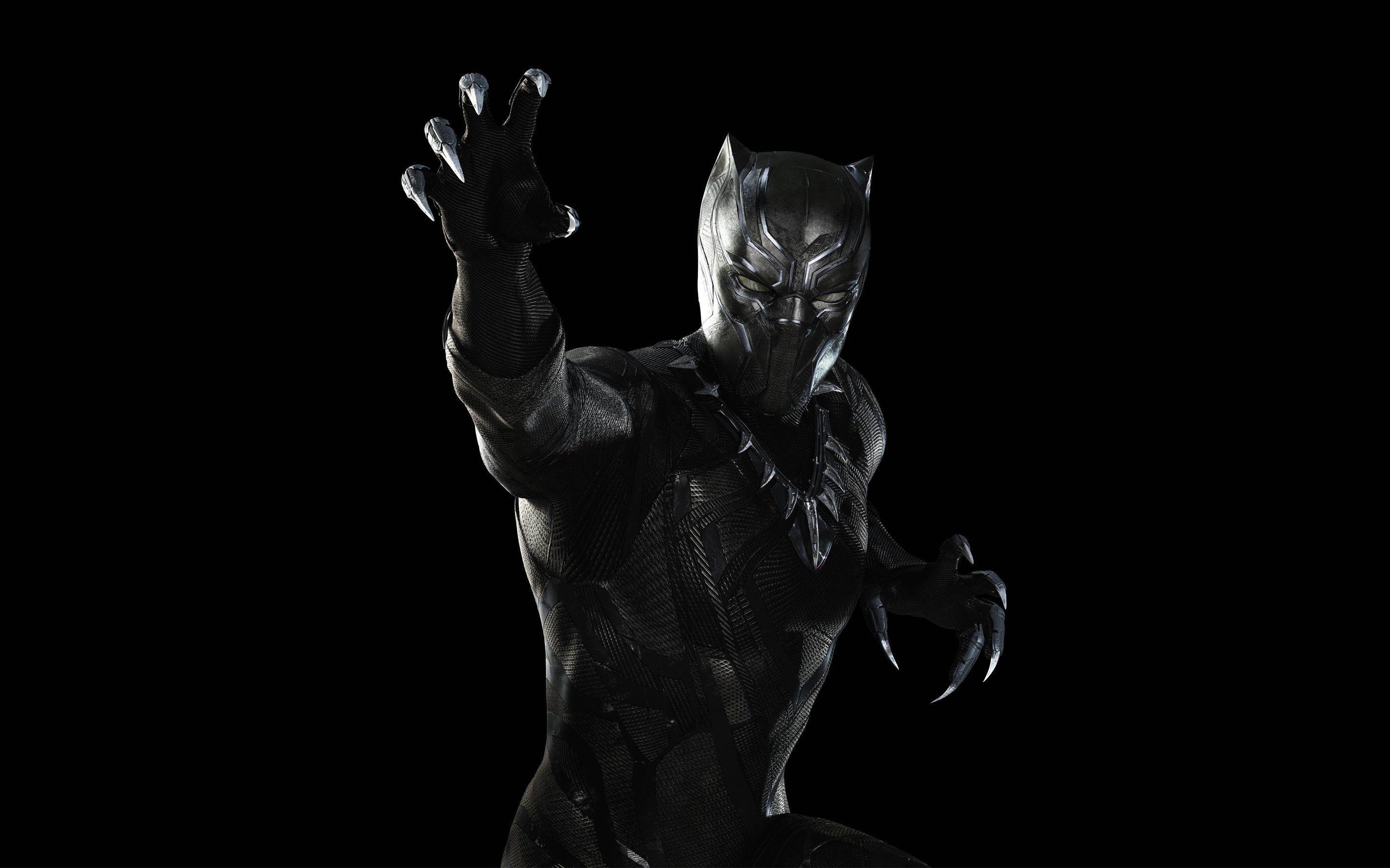 2880x1800 Black Panther Wallpaper 2880x1800 67140