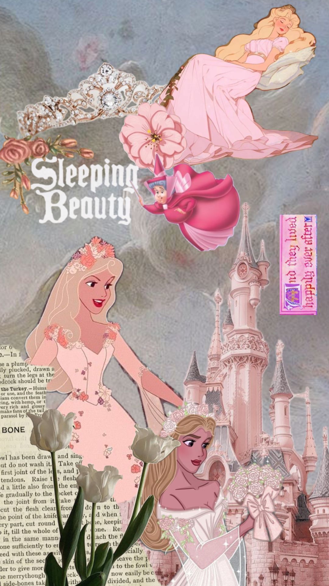 1080x1920 Best Sleeping Beauty Wallpaper ideas. sleeping beauty wallpaper aesthetic, sleeping beauty aesthetic wallpaper, sleeping beauty wallpaper