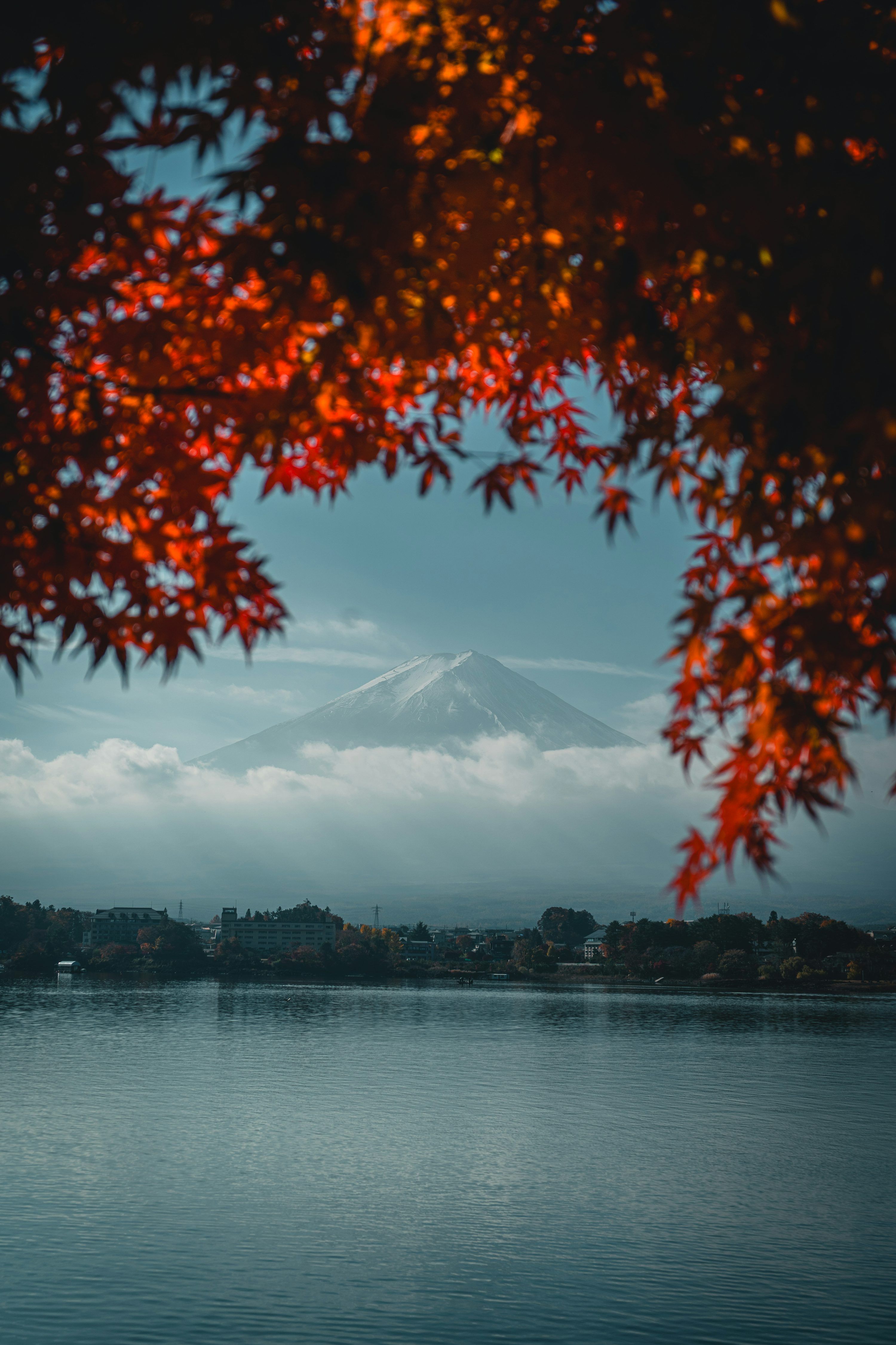 3000x4500 Autumn Vibes Picture. Download Free Image