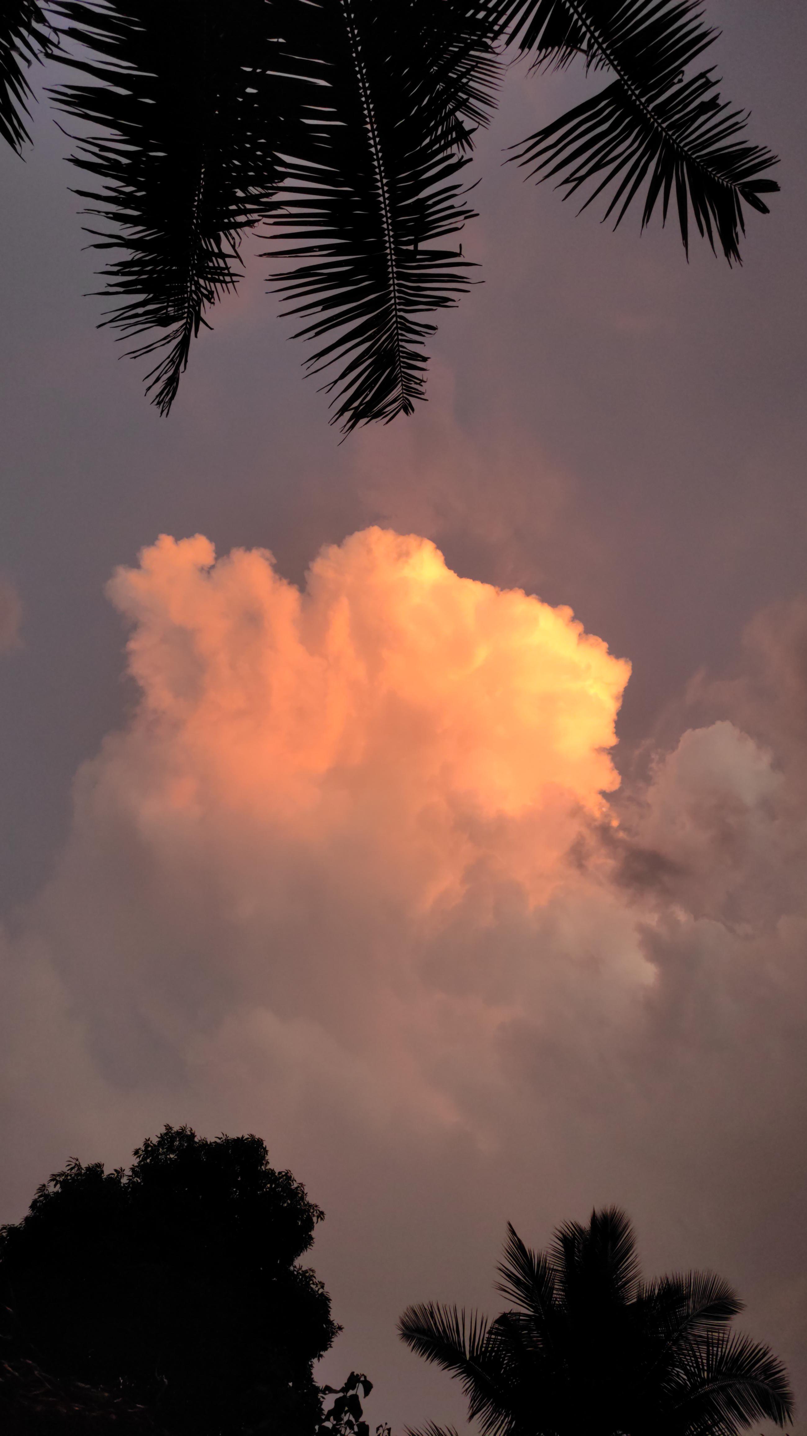 2600x4624 Peaceful vibes