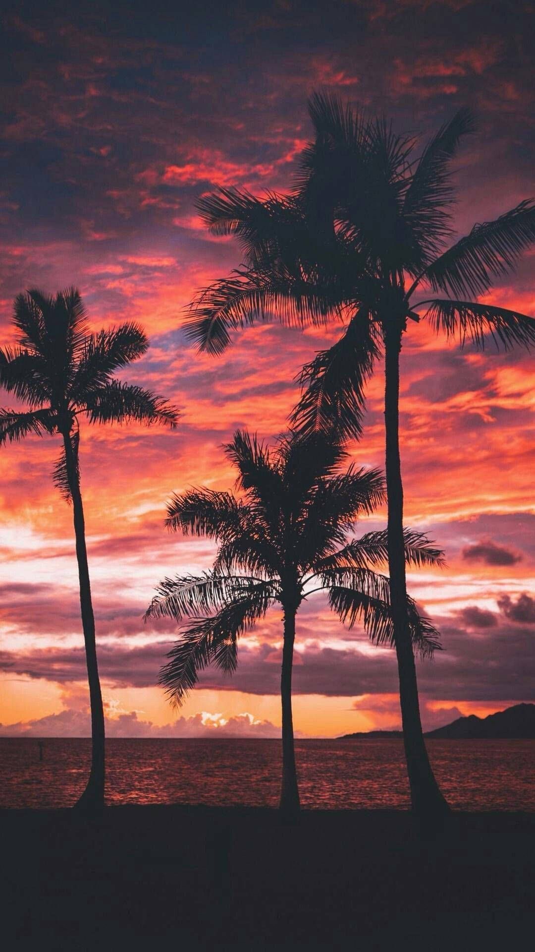 1080x1920 Download Summer Vibes Red Sky Wallpaper