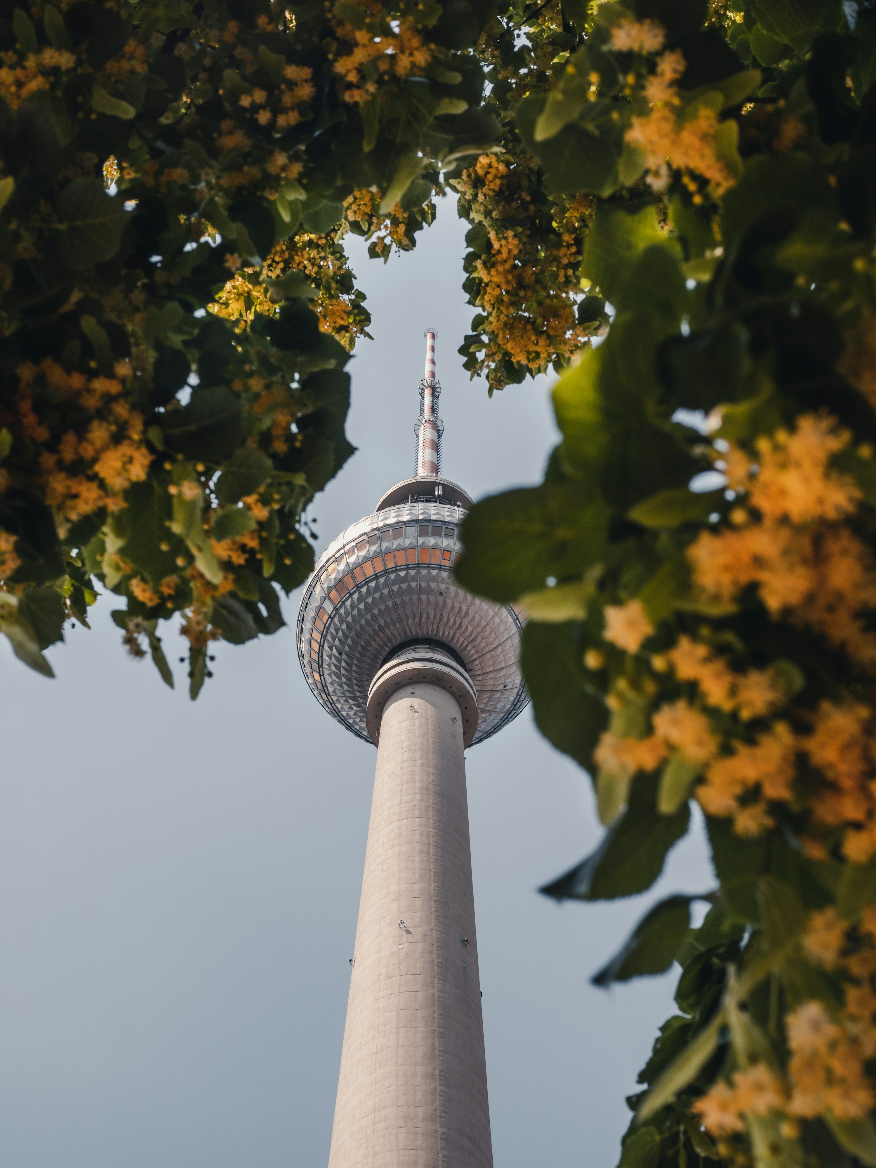 3000x4000 Berlin Tv Tower Picture. Download Free Image