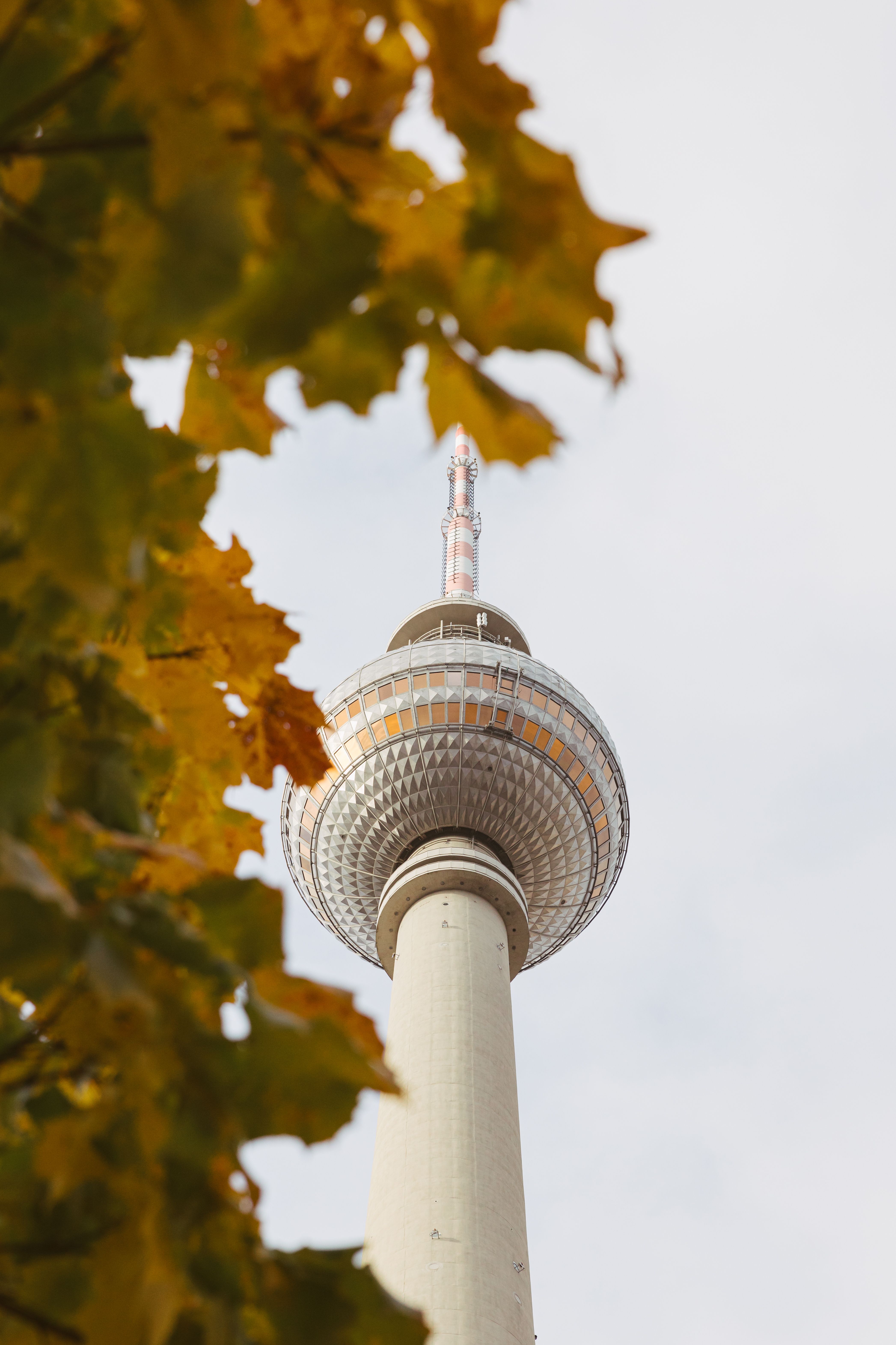 4187x6281 Berlin Fernsehturm in Autumn · Free