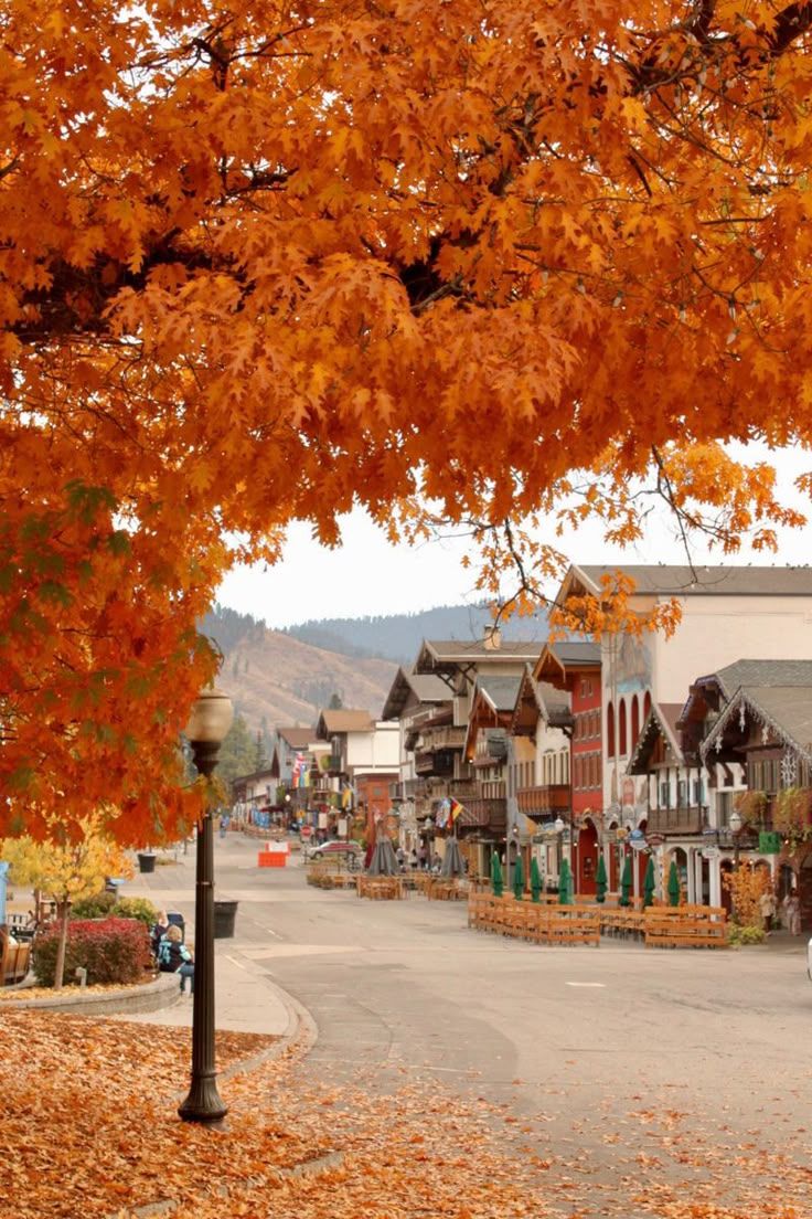 736x1104 fall in leavenworth, washington #washington #leavenworth #fall #autumn