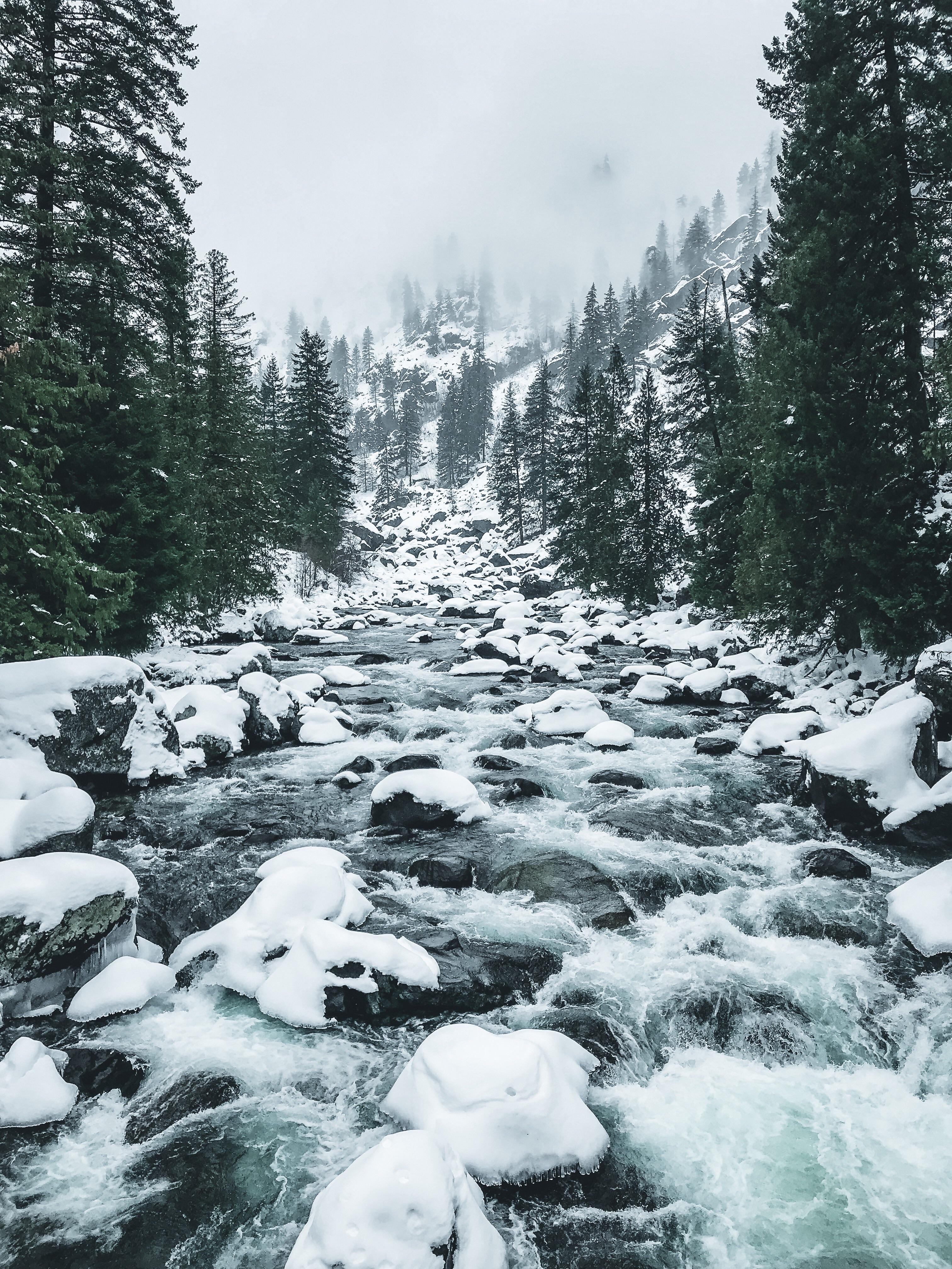 3024x4032 Photo I took in Leavenworth last winter. Leavenworth, WA [OC] [3024x4032]