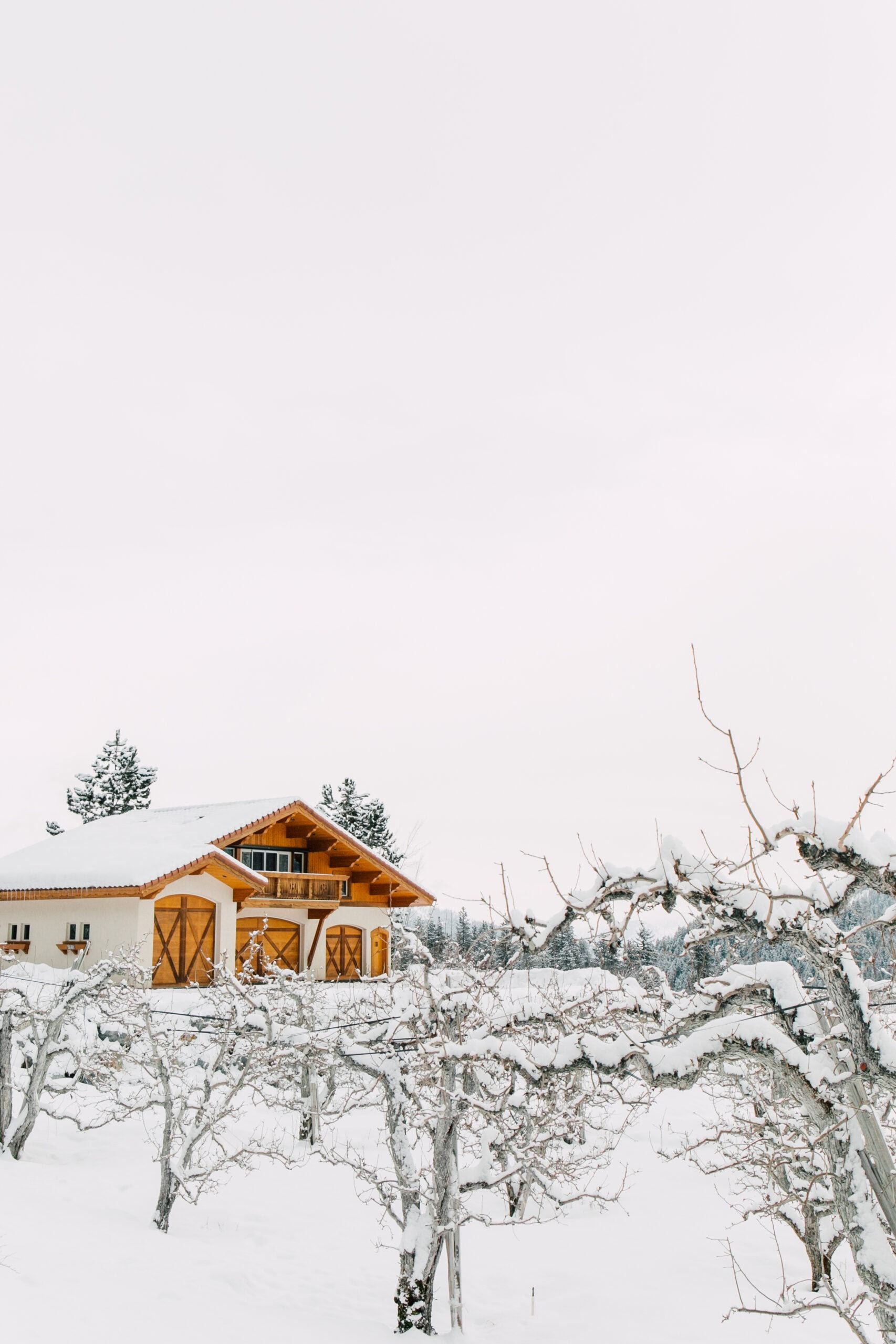 1706x2560 Travel tips and recommendations in Leavenworth, WA
