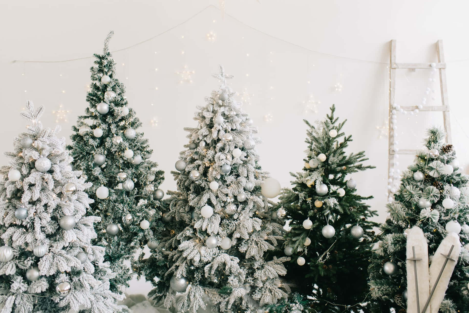 1920x1280 White christmas Background