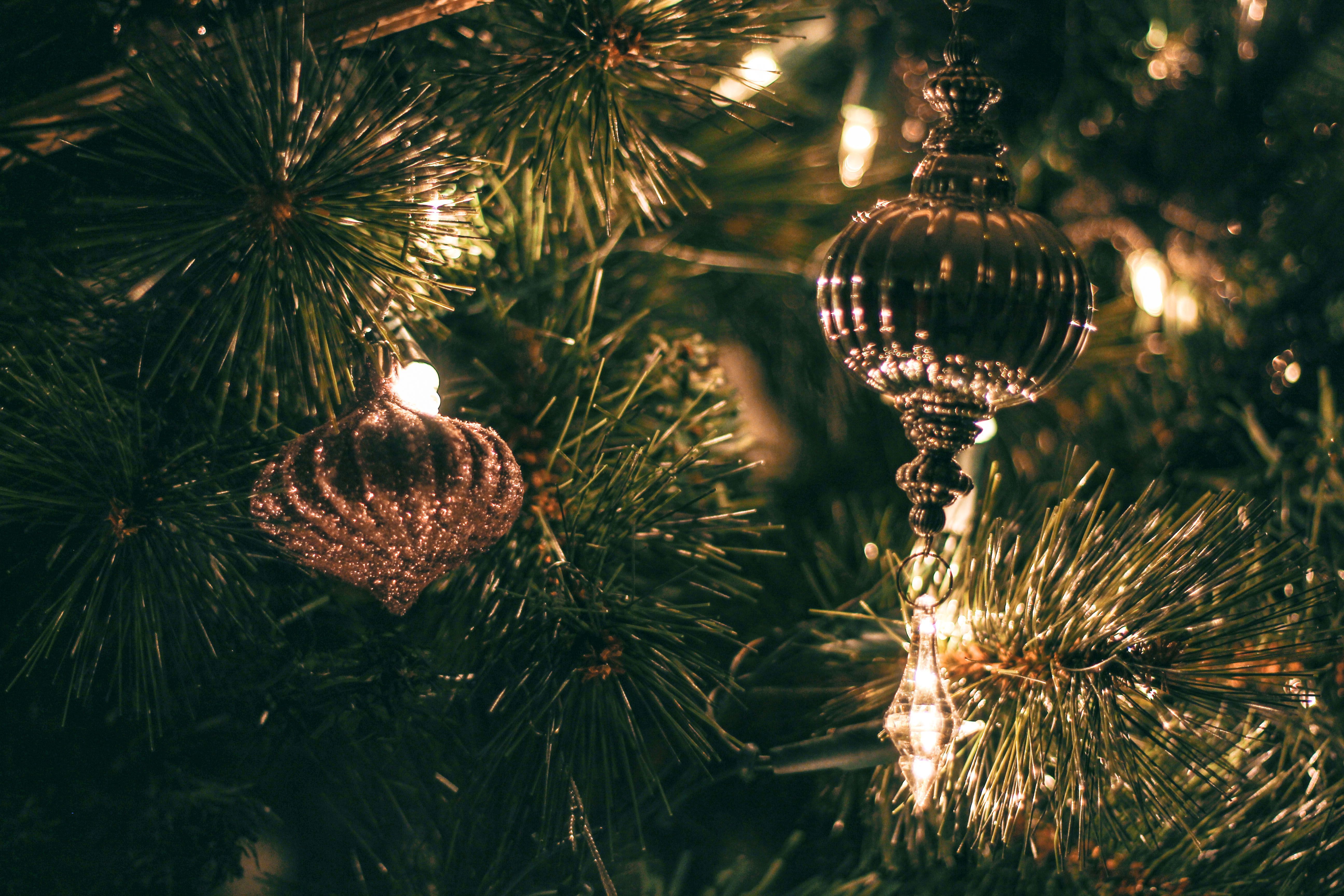 5184x3456 Christmas Tree Background Photo, Download The BEST Free Christmas Tree Background & HD Image