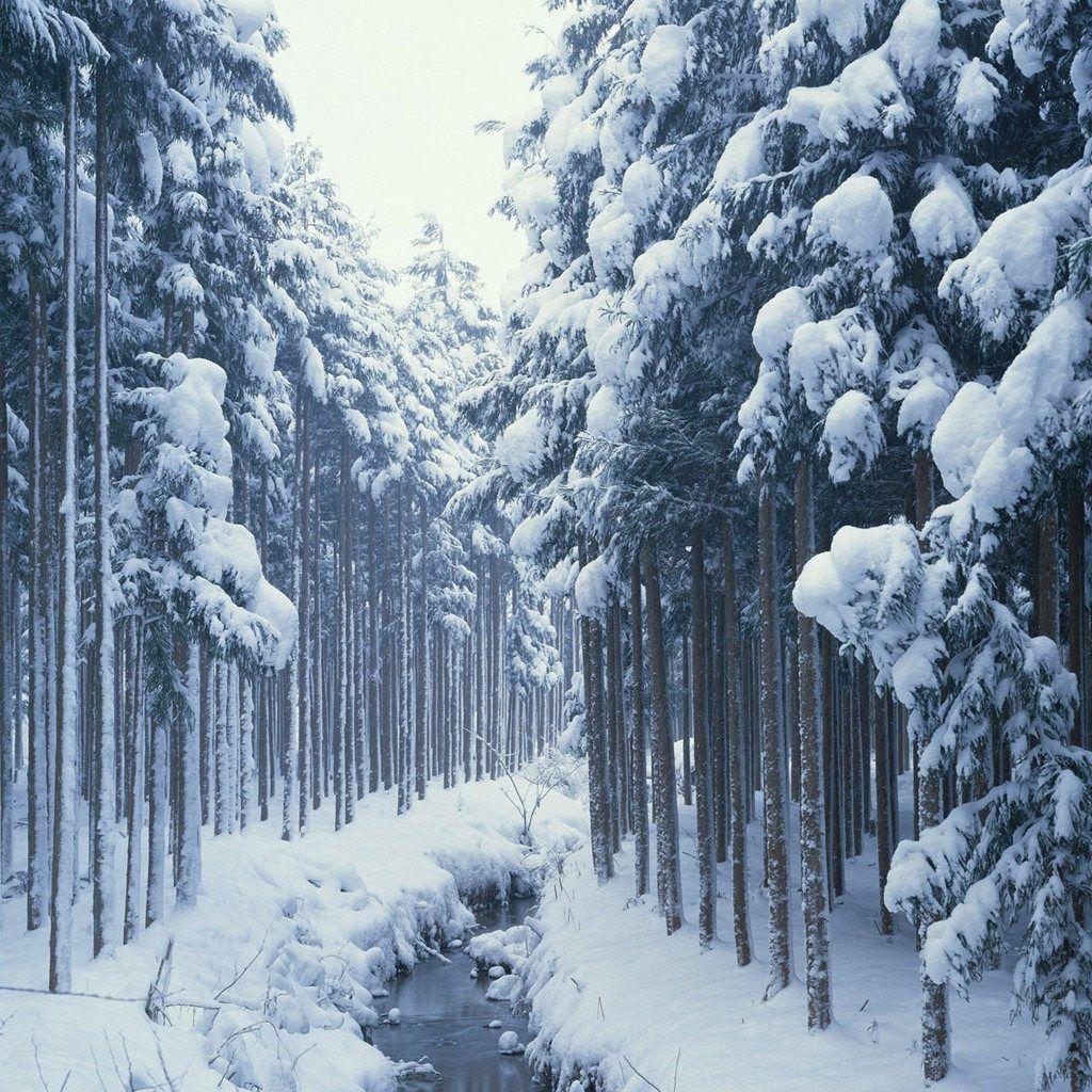 1024x1024 27++ Winter HD Wallpaper For iPad