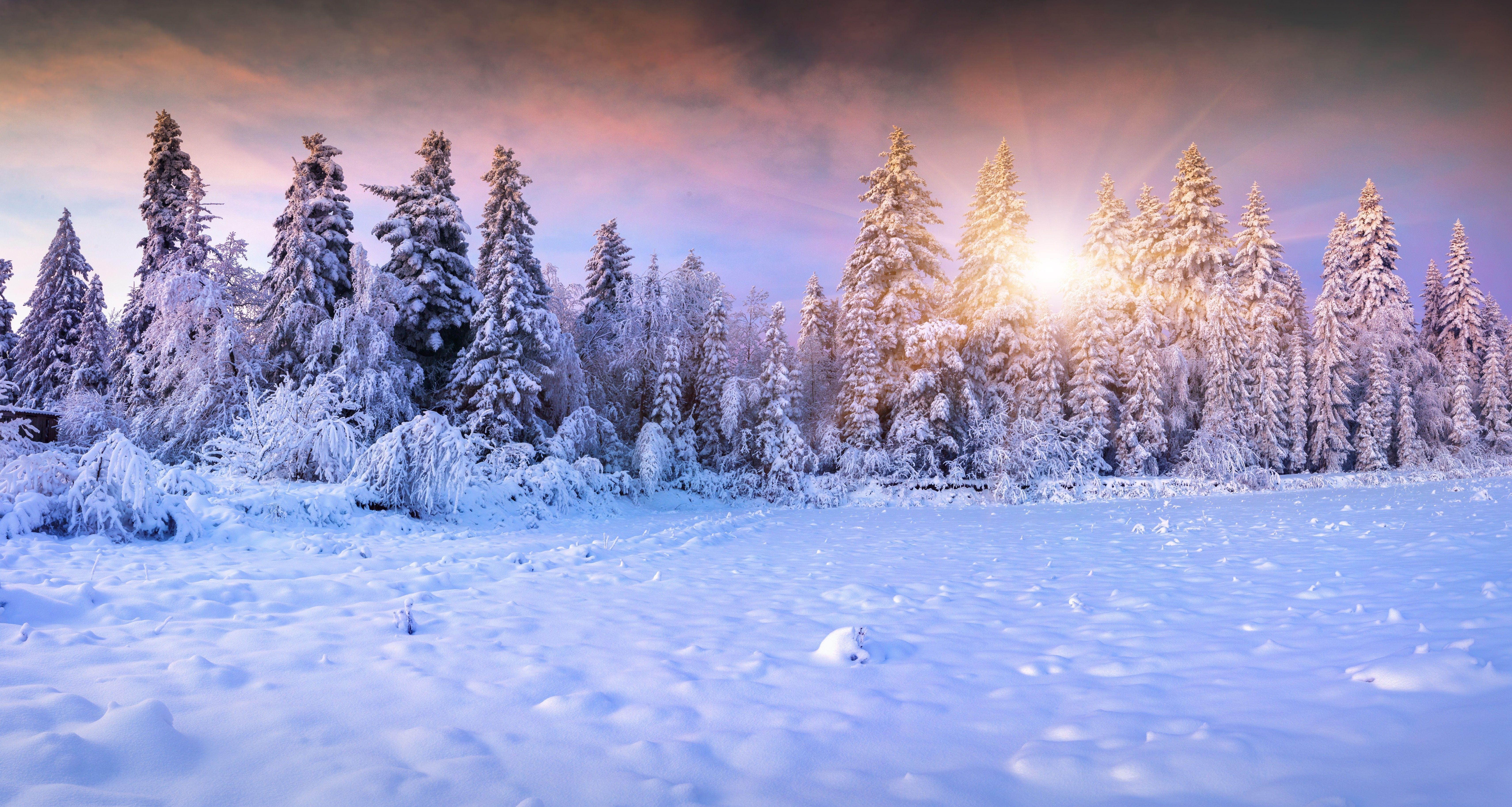 6844x3652 Winter: Winter Forest Snow Fir Tree Sun Gallery for HD 16:9 High. Winter wallpaper, Winter snow wallpaper, Winter backdrops