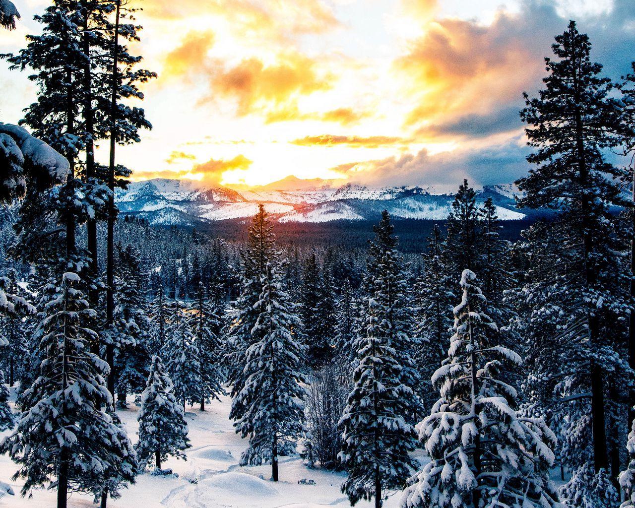 1280x1024 Download wallpaper 1280x1024 forest, winter, mountains, snow standard 5:4 HD background
