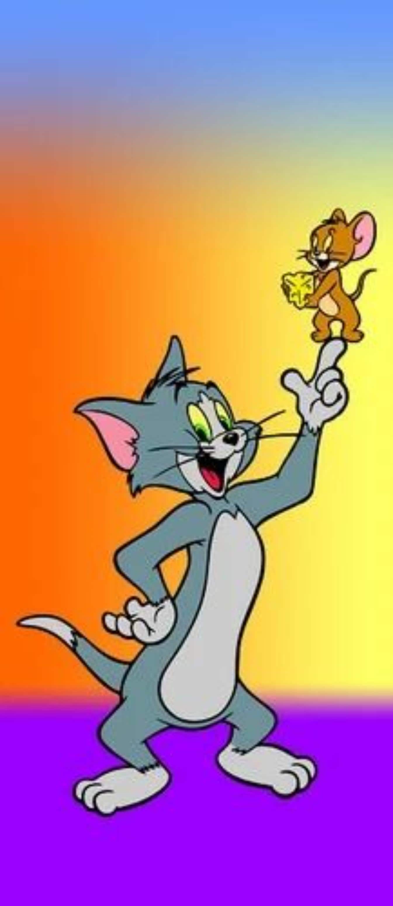 1345x3100 Tom And Jerry Printed Door Paper in Ahmedabad at ₹ 25 / Pc