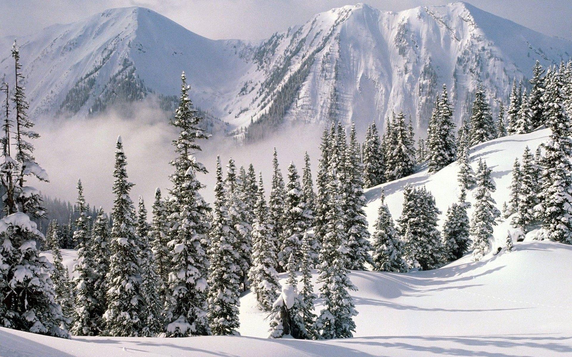 1920x1200 Winter Mountain Wallpaper