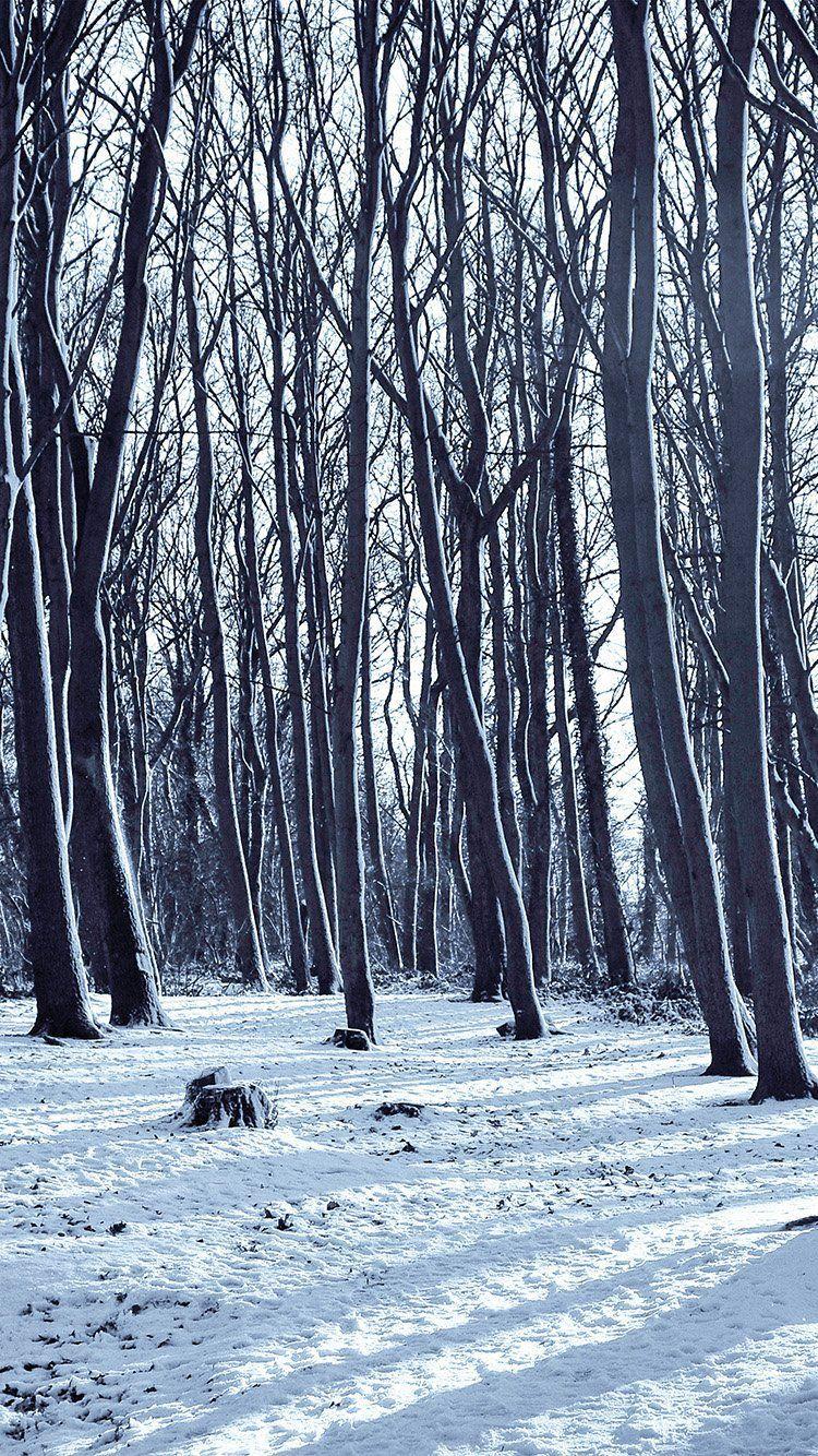 750x1334 COLD WINTER FOREST SNOW NATURE MOUNTAIN WALLPAPER HD IPHONE. Winter wallpaper, Snow forest, Scenery wallpaper