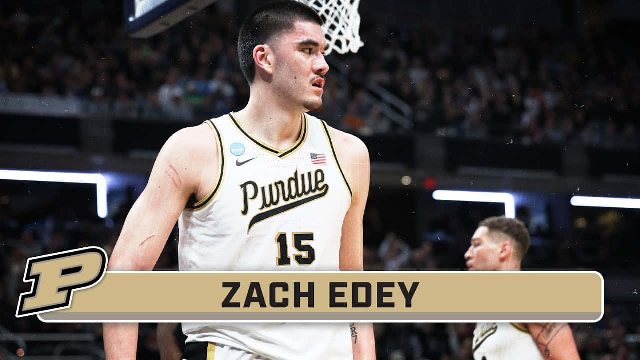 1280x720 Download Zach Edey Purdue Basketball Player Wallpaper