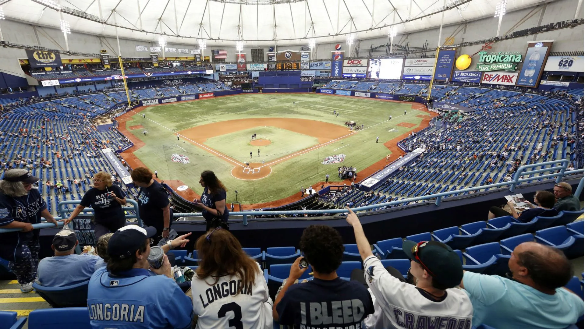1920x1080 Tropicana Field Wallpaper