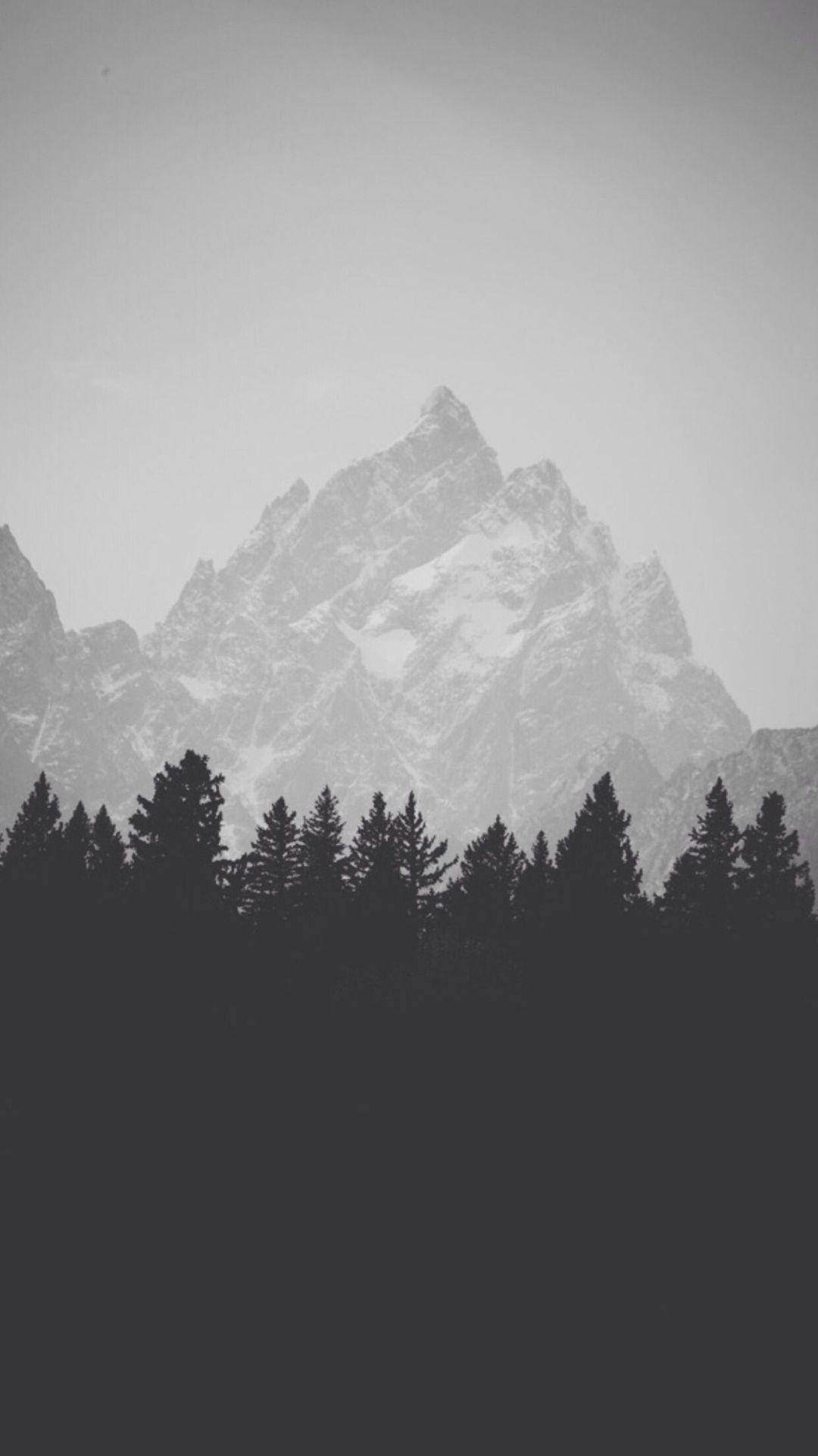 1080x1920 Winter Mountain Peak Pine Forest Line iPhone 6 Plus HD Wallpaper HD