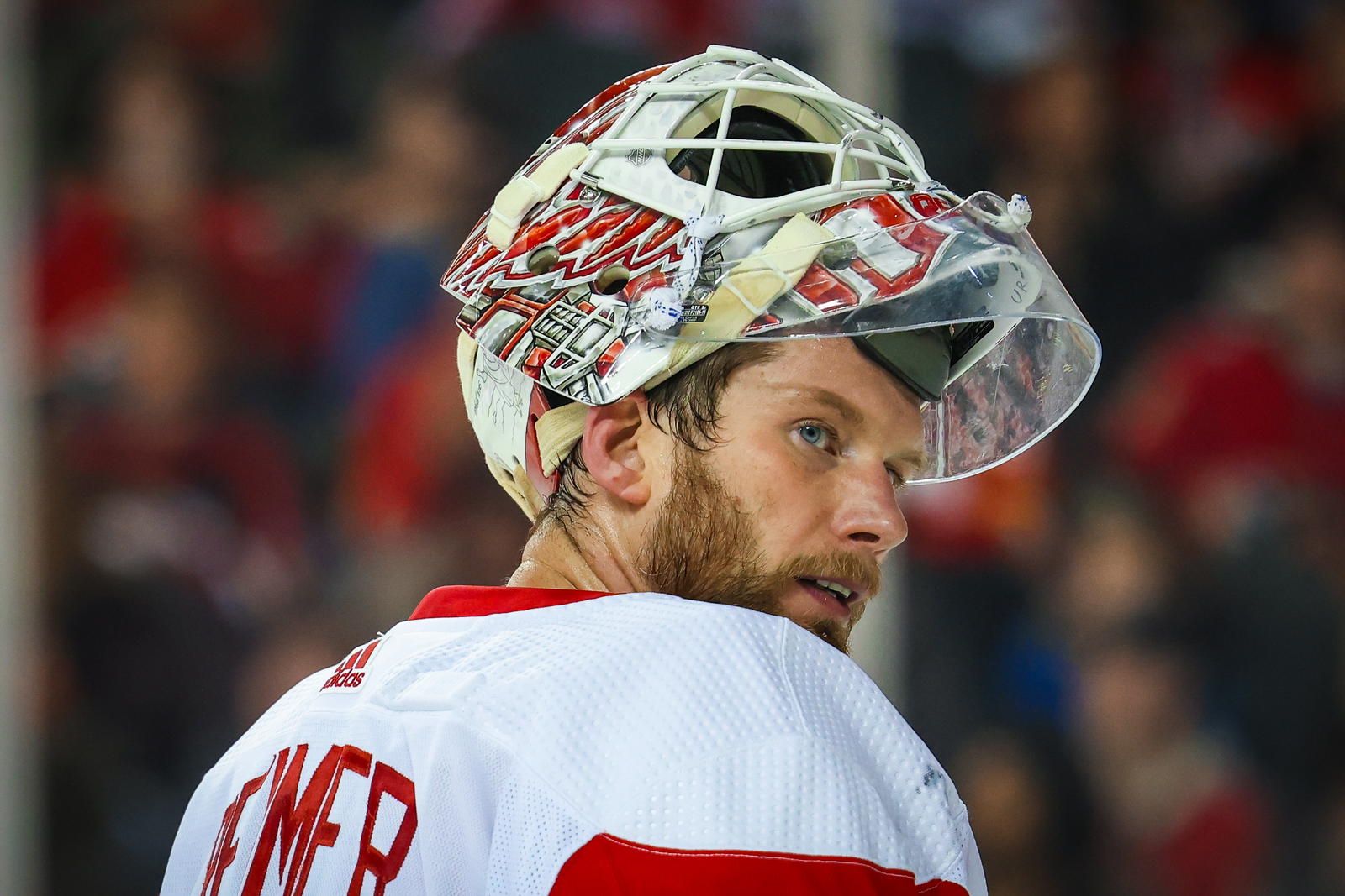 1600x1067 Former Red Wings Goaltender James Reimer Signs PTO with Maple Leafs