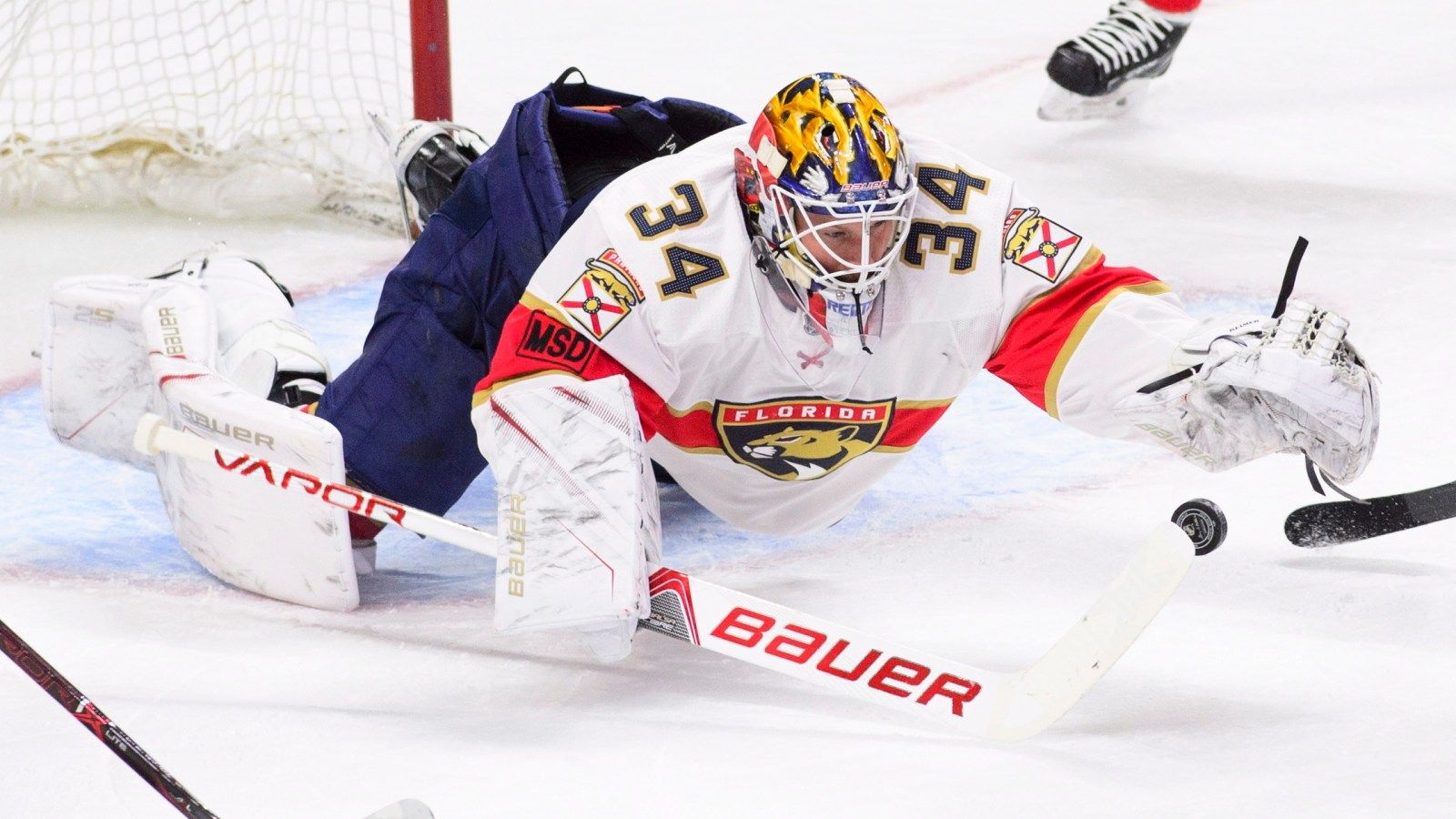 1600x900 Florida Panthers trade goaltender James Reimer to Carolina Hurricanes for 2020 NHL draft pick