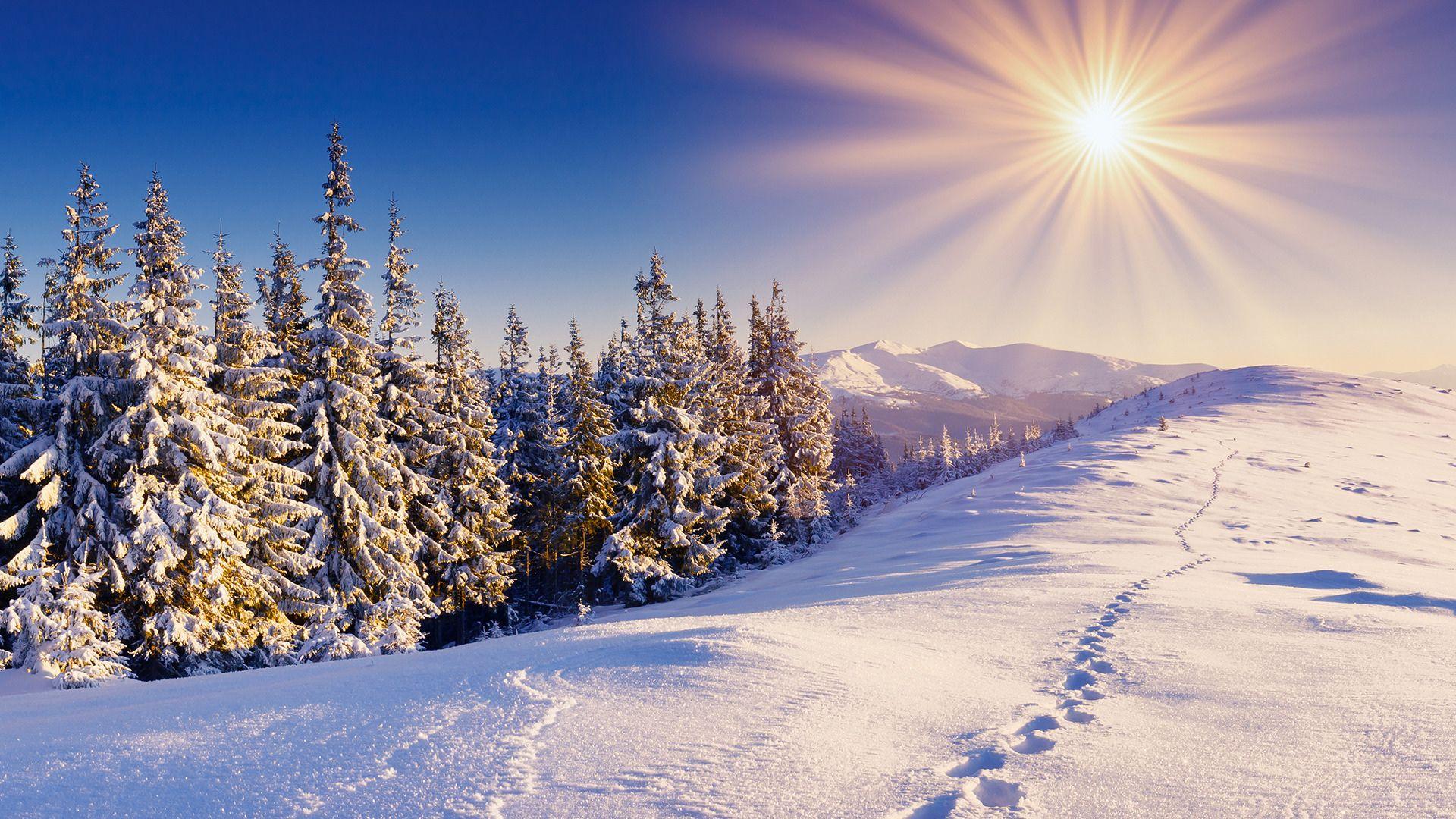 Winter Mountain Forest HD Wallpapers - Top Free Winter Mountain Forest ...