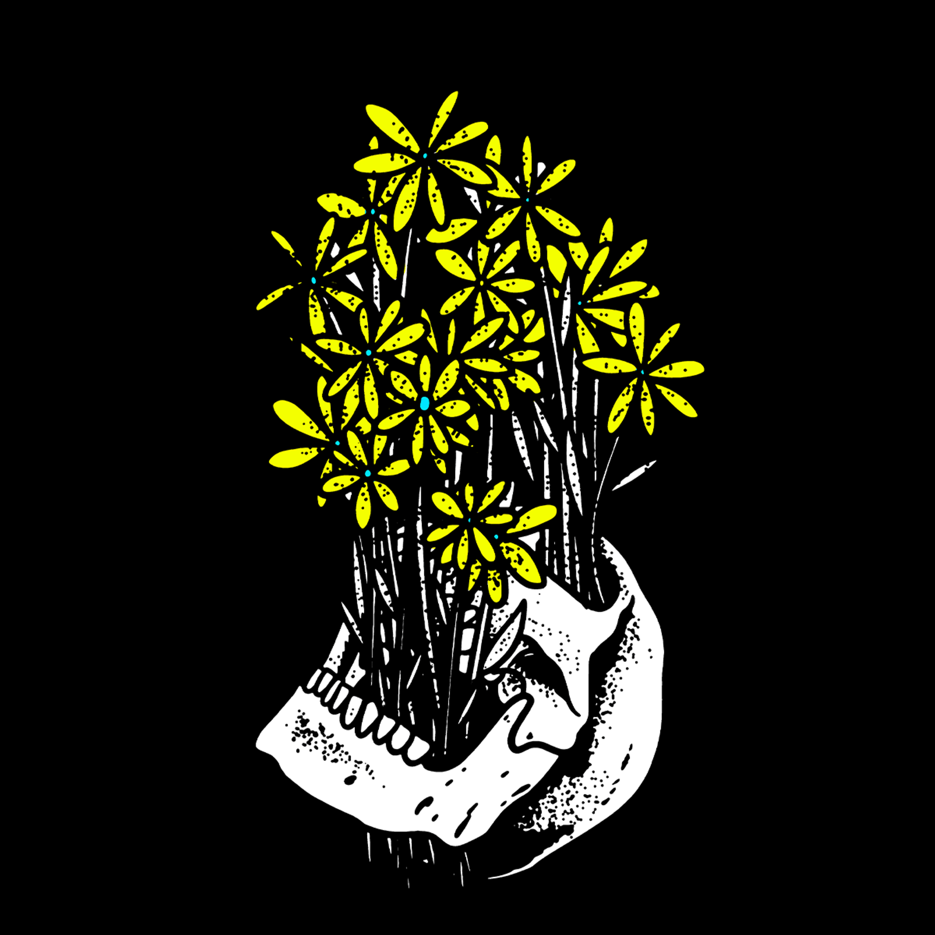 1920x1920 Third Eye Blind with Jimmy Eat World and Ra Ra Riot