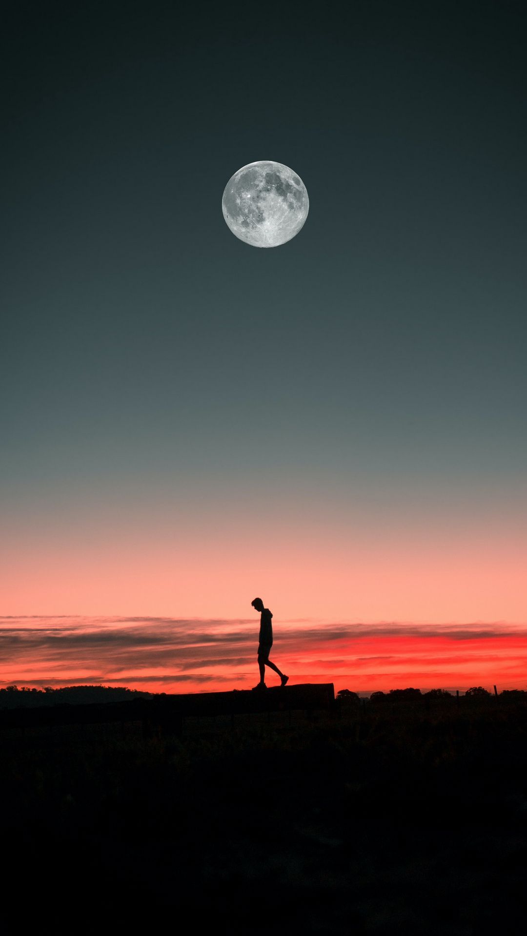 1080x1920 Download wallpaper 1080x1920 loneliness, alone, moon, silhouette, sunset samsung galaxy s s note, sony xperia z, z z z htc one, lenovo vibe HD background