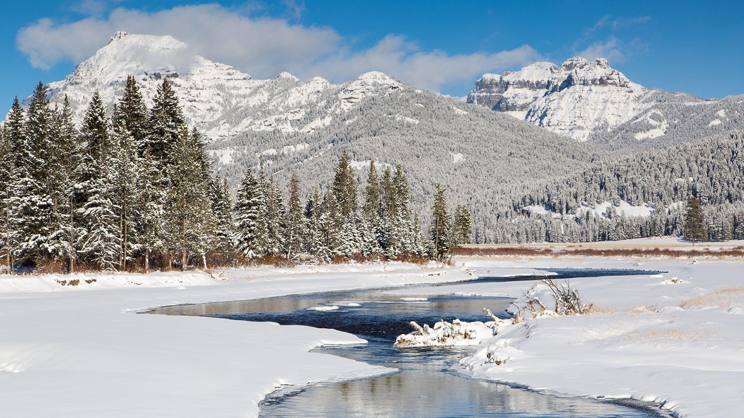 2560x1440 Image Nature Winter mountain Snow forest Scenery Rivers 2560x1440