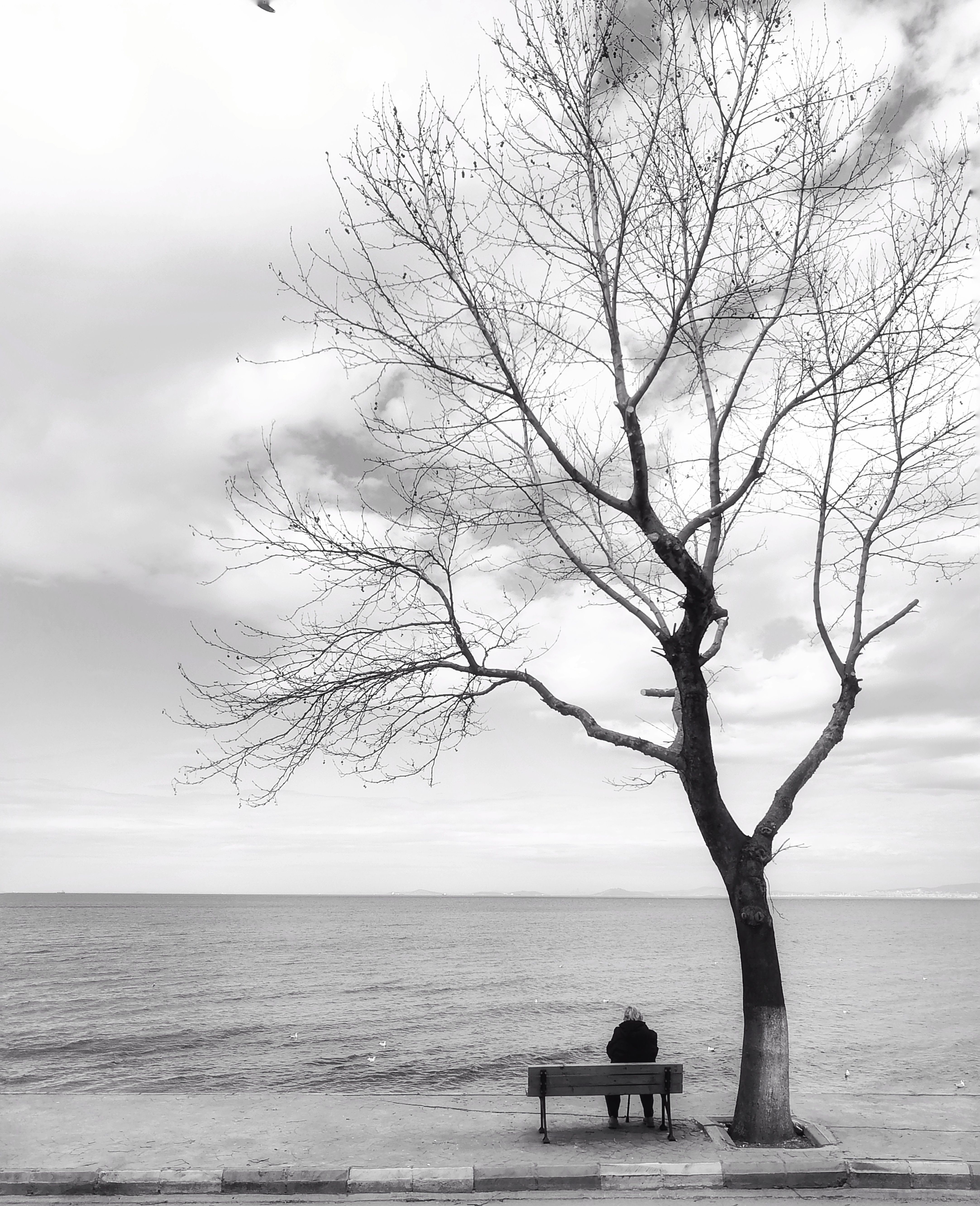 4330x5326 Lonely Photo, Download The BEST Free Lonely & HD Image
