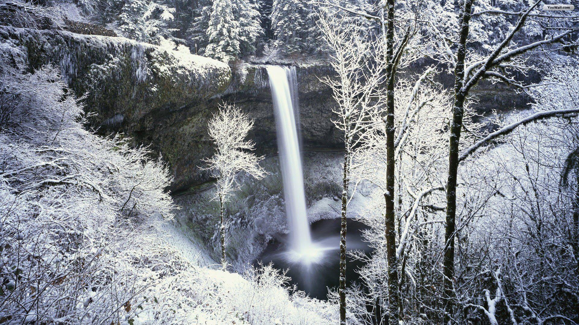 1920x1080 Snow Forest Wallpaper Desktop