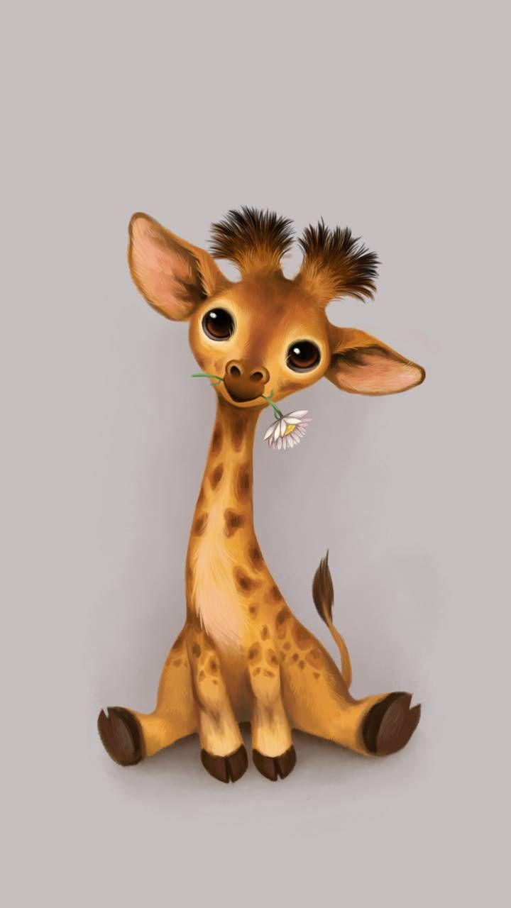 720x1280 Download Cute Giraffe HD Wallpaper and Background