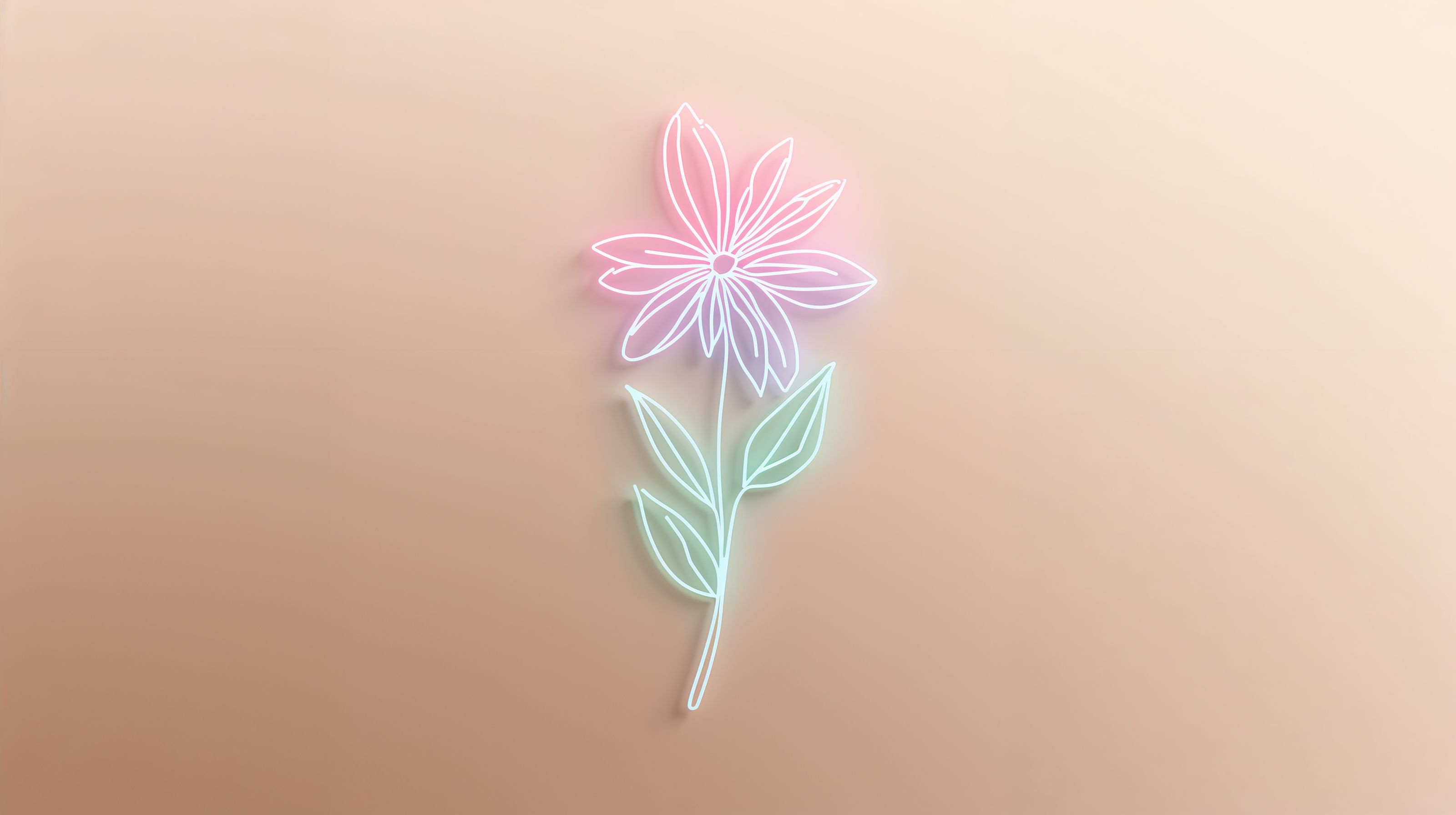 3200x1792 Free Cute Flower Wallpaper –Soft Floral Dreamy Aesthetic