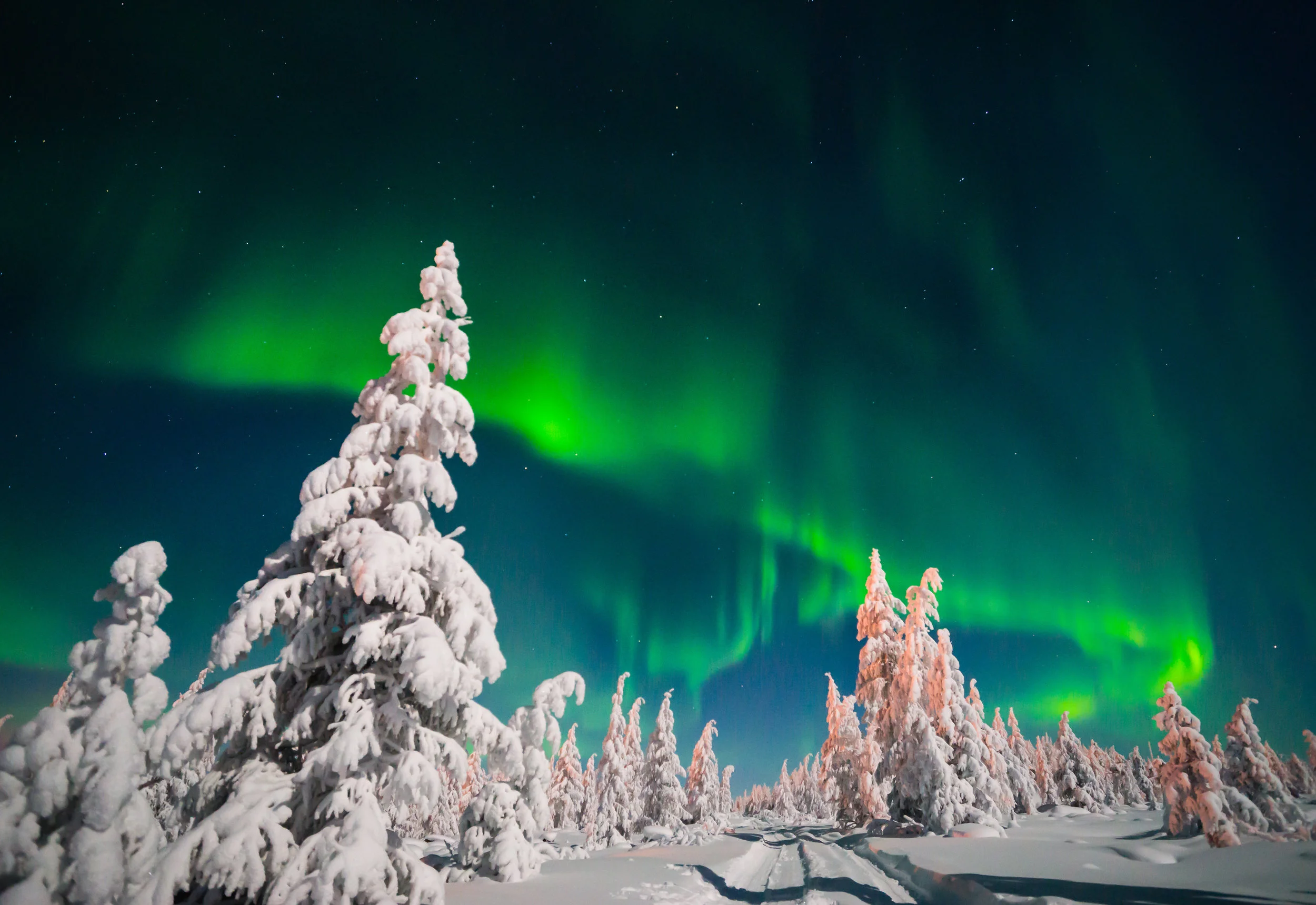 2500x1719 Amazing photo of Northern Lights in Swedish Lapland