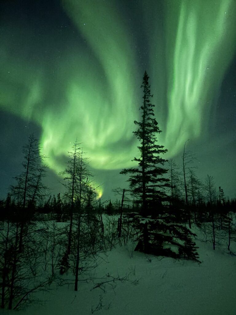 768x1024 How to Take Picture of the Northern Lights Northern Studies Centre