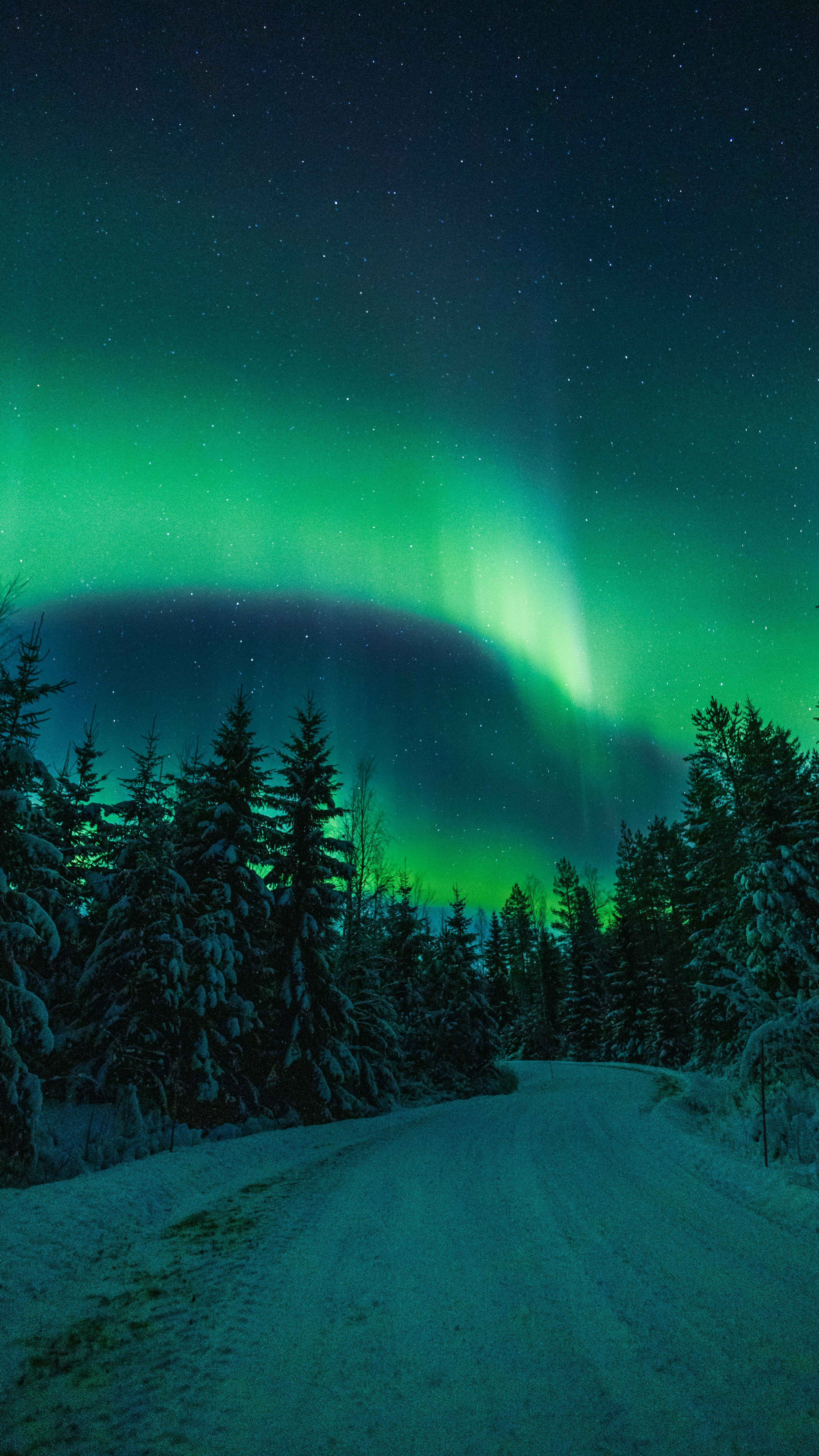3000x5333 Northern Lights Picture. Download Free Image