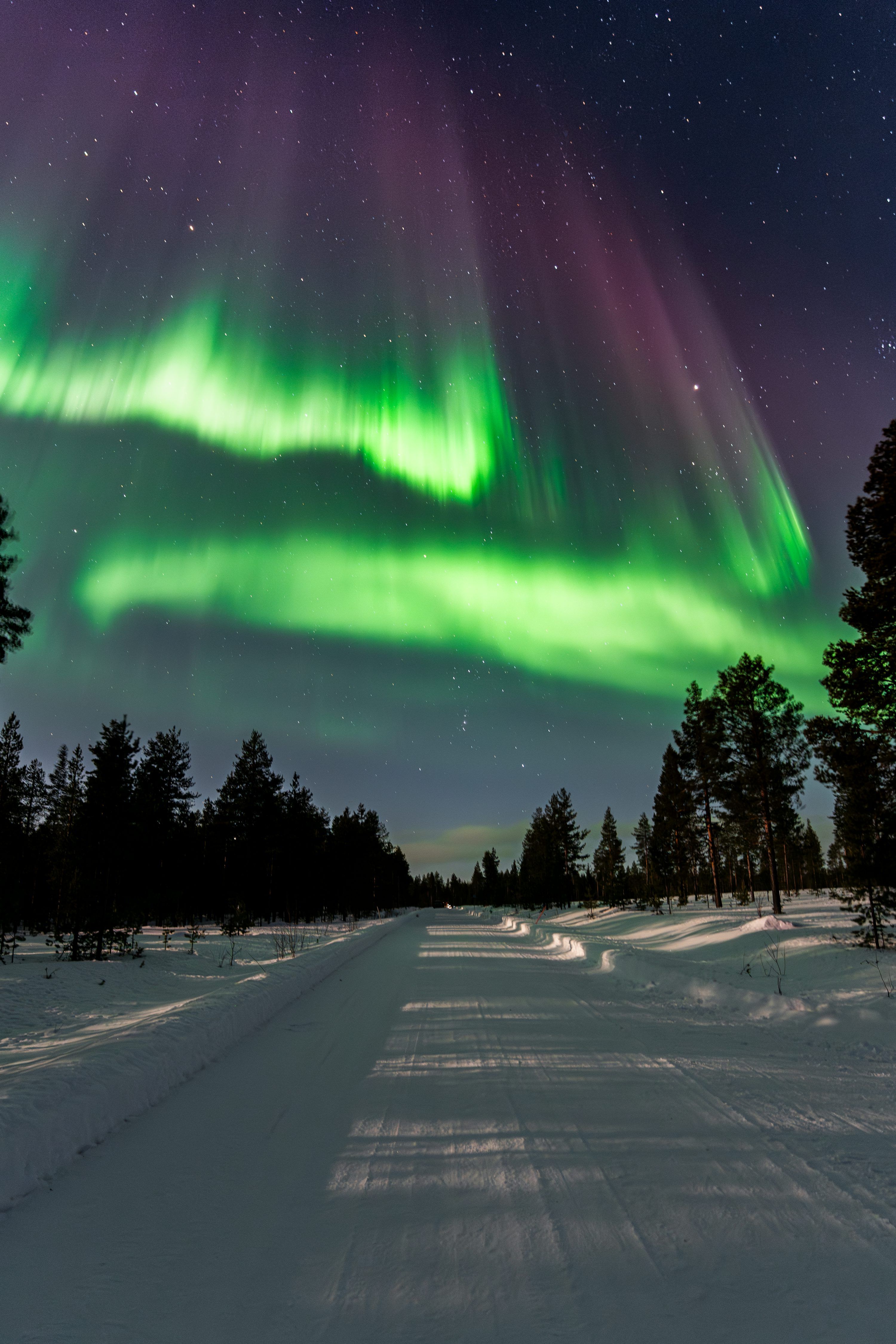 3000x4500 Green and purple aurora borealis over snowy forest road