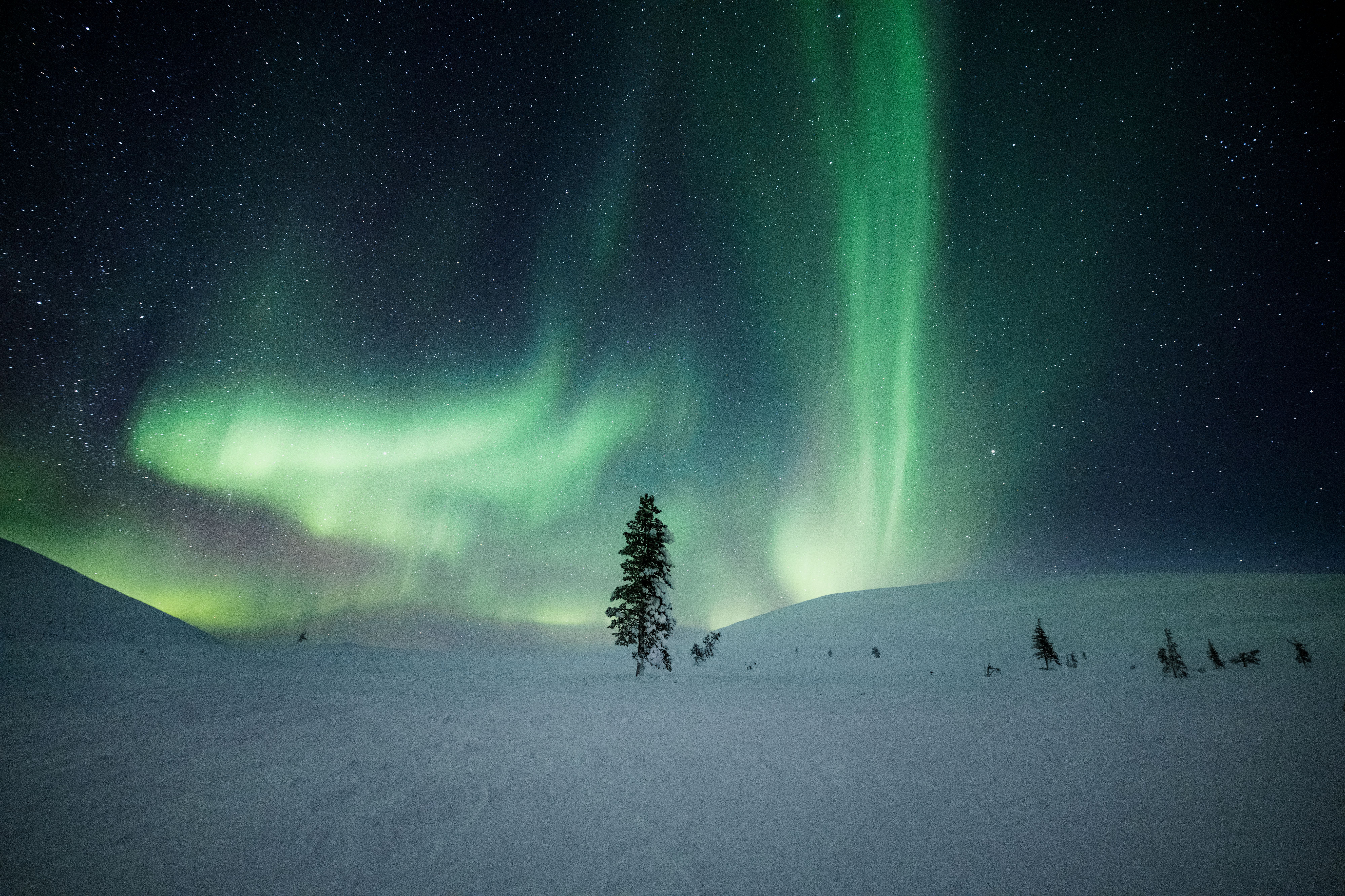 8000x5333 How to take picture of the northern lights