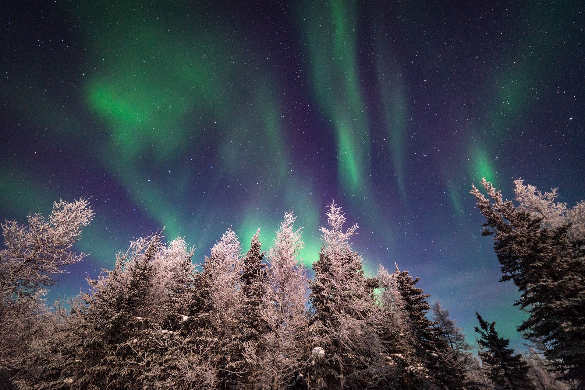1920x1282 Northern Lights Photo to Capture in Churchill, Manitoba