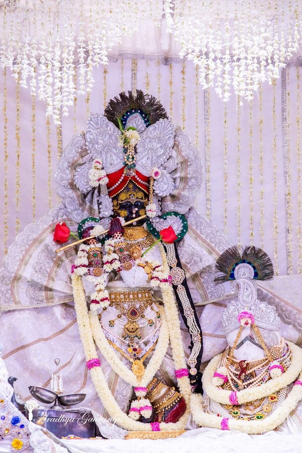 1000x1500 Photos & Videos. Shri Radha Vallabh Mandir