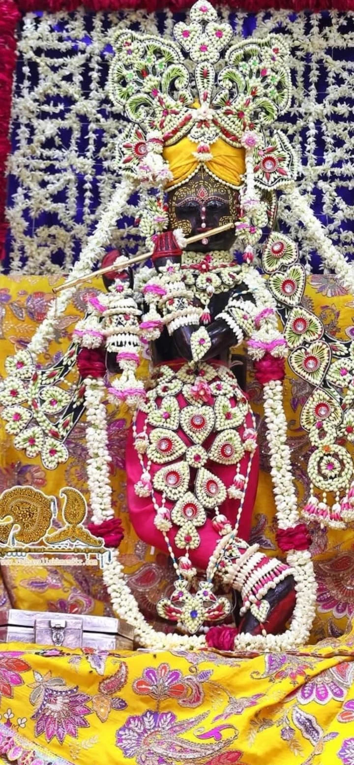 720x1554 Padmavathi on X: Today's darshan of Sri Radha Vallabh Lal ji