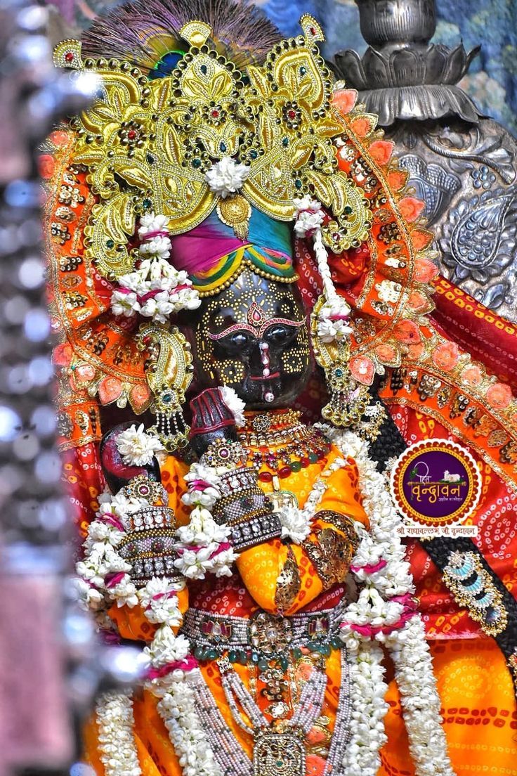 736x1104 Photos & Videos. Shri Radha Vallabh Mandir
