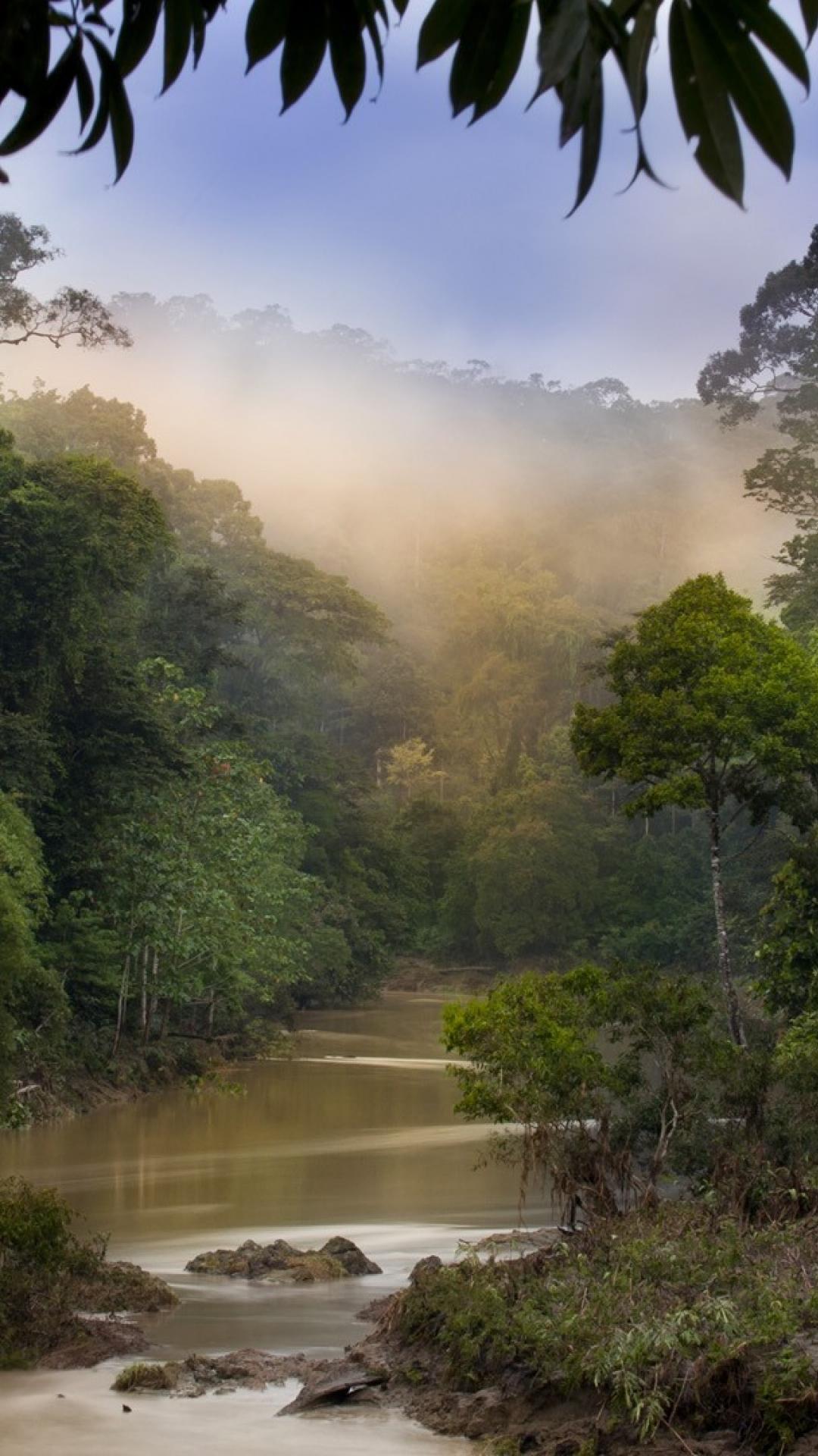 1080x1920 Malaysia Jungle Wallpaper