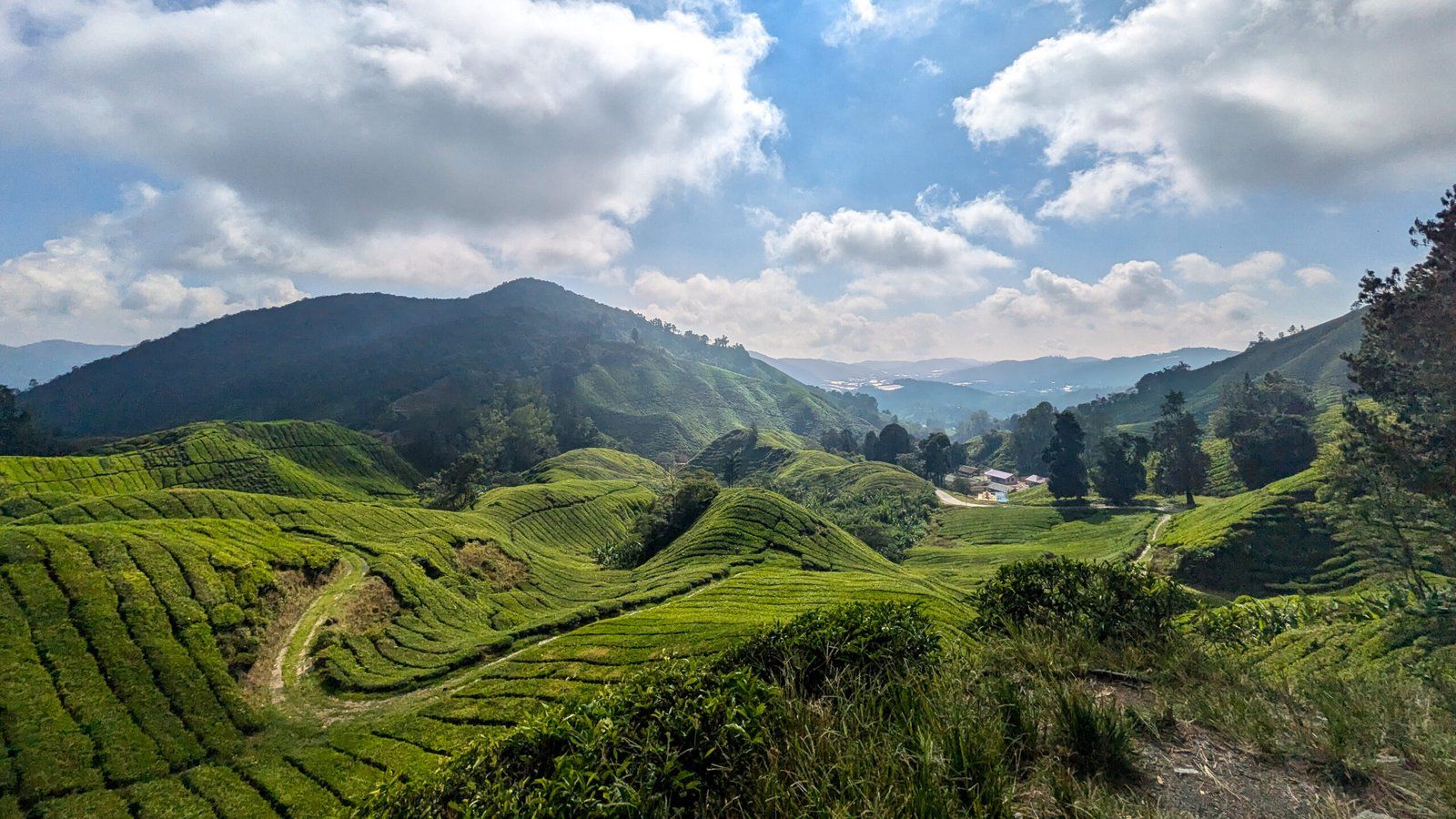 1600x900 Wild and Diverse: Malaysia's Best Nature Spots
