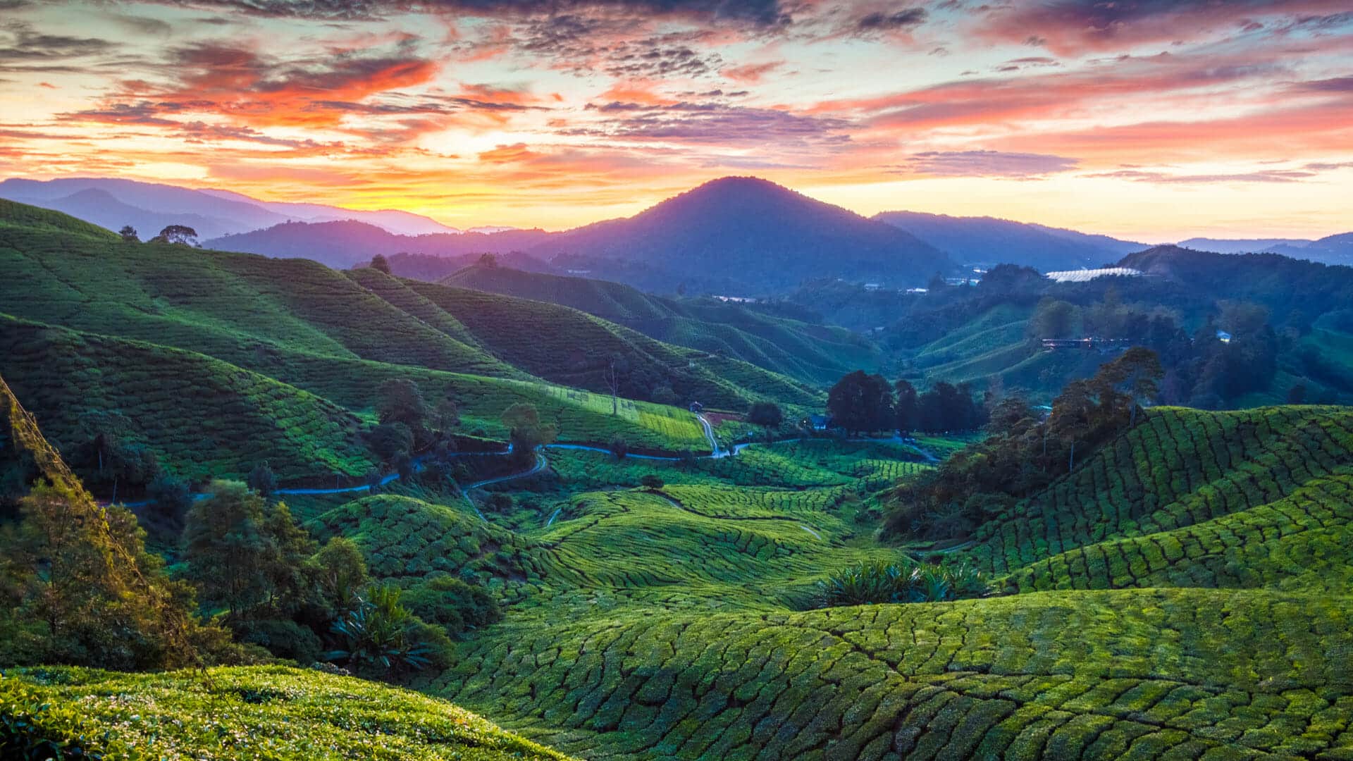 1920x1080 The Best Time to Visit Malaysia. When to go