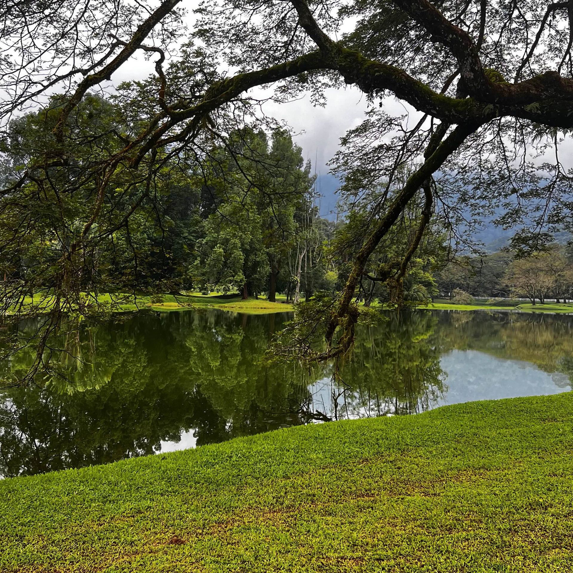 1920x1919 Taiping walk. Trip.com Taiping
