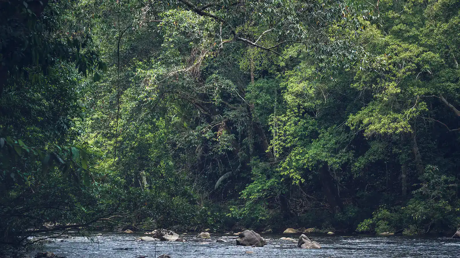 1600x900 Best National Parks in Malaysia for Nature Lovers