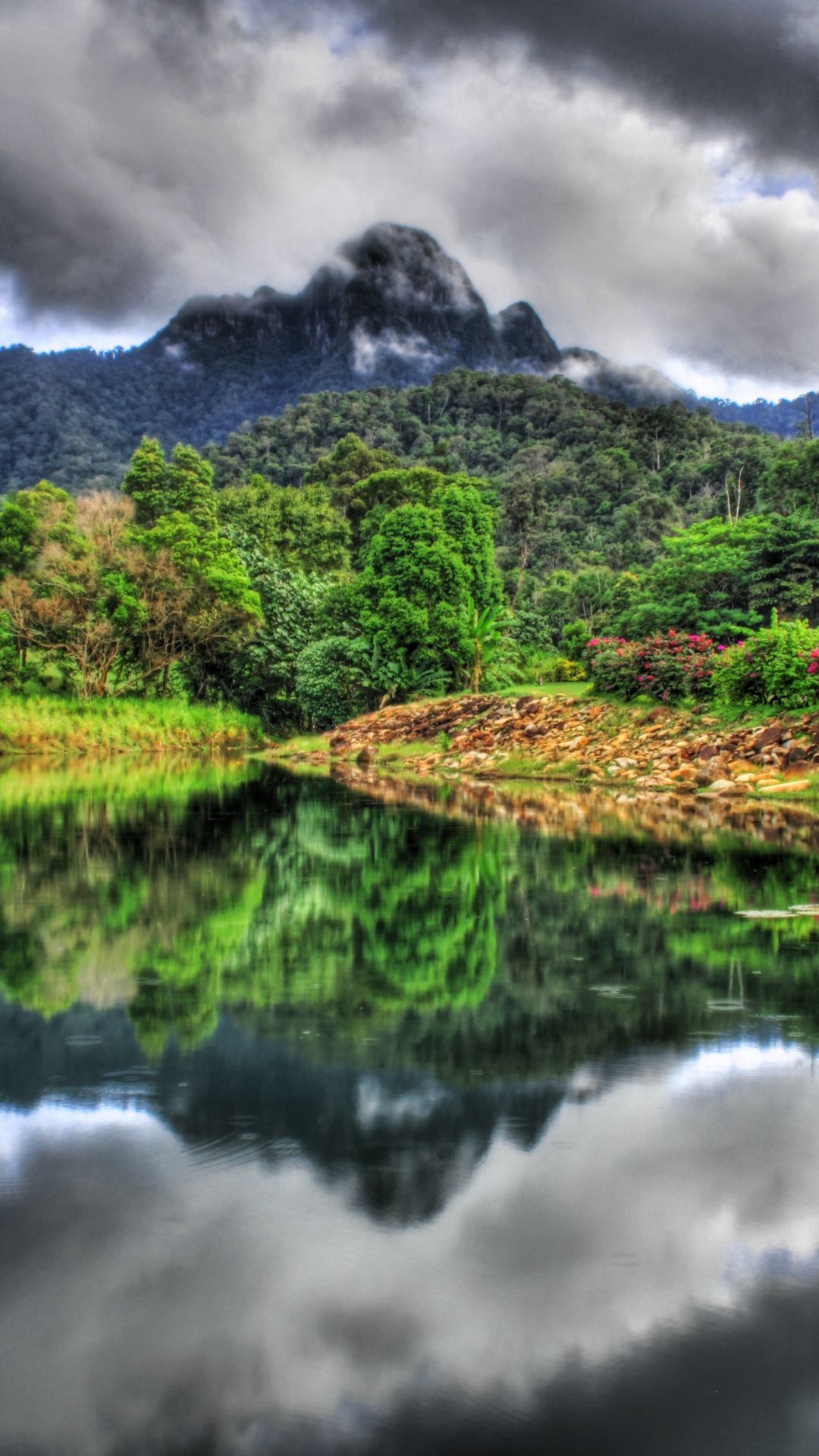 1080x1920 Phone wallpaper: Hdr, Jungle, Langkawi Island, Earth, Malaysia, Reflection, Fog 1313097