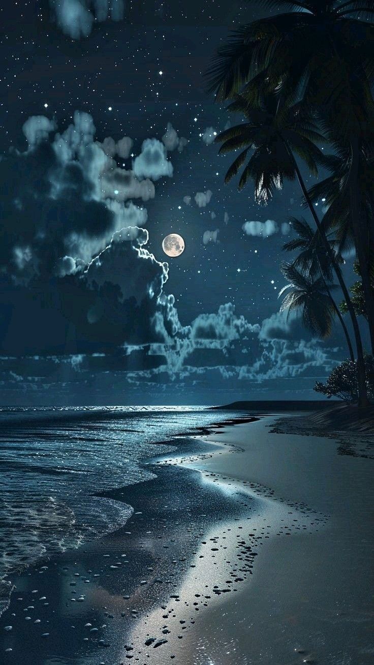 736x1308 Moonlight beach wallpaper HD. Midnight beach wallpaper, Moonlit beach, Beach full moon