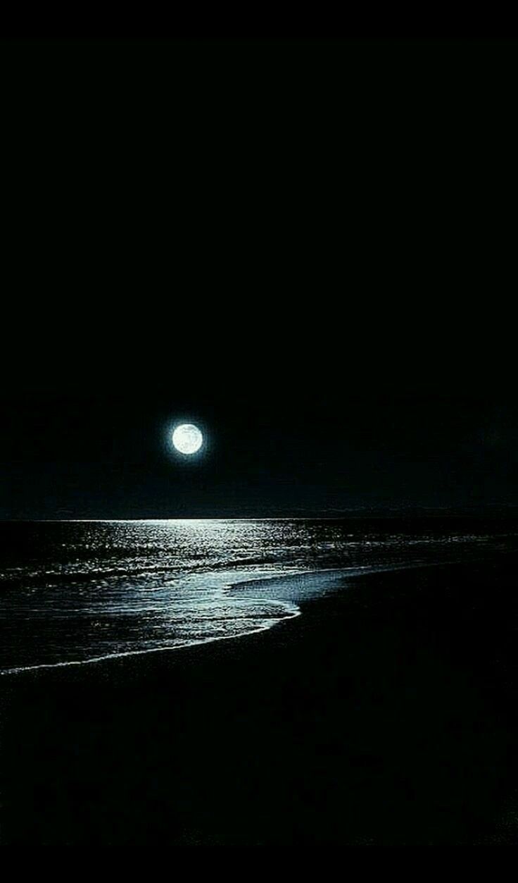736x1253 Moonlight Shining Over the Ocean. Full moon over ocean, Moonlit beach at night, Nighttime beach