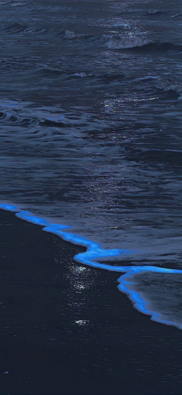 736x1595 Ocean Beach with Moon Shining in the Sky. Midnight ocean wallpaper, Midnight beach wallpaper, Bioluminescence
