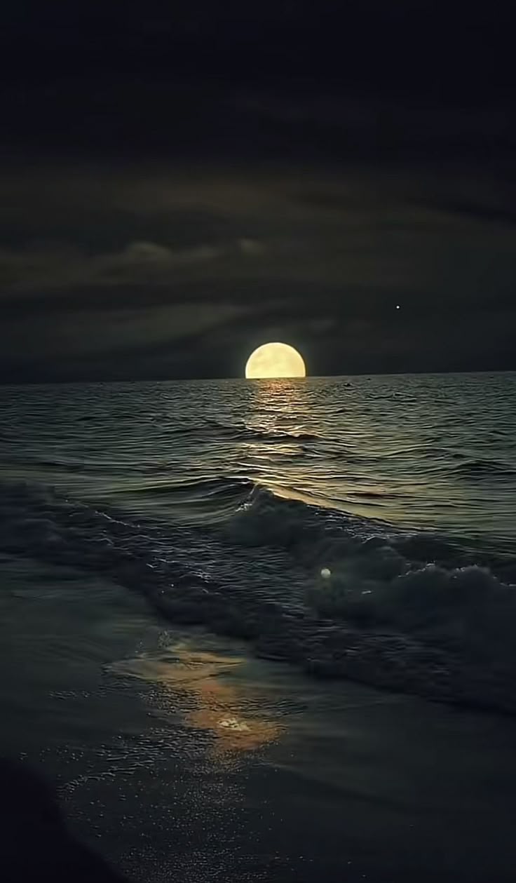 736x1259 Midnight beach background. Beach at night aesthetic wallpaper, Night sea aesthetic wallpaper, Moonlight